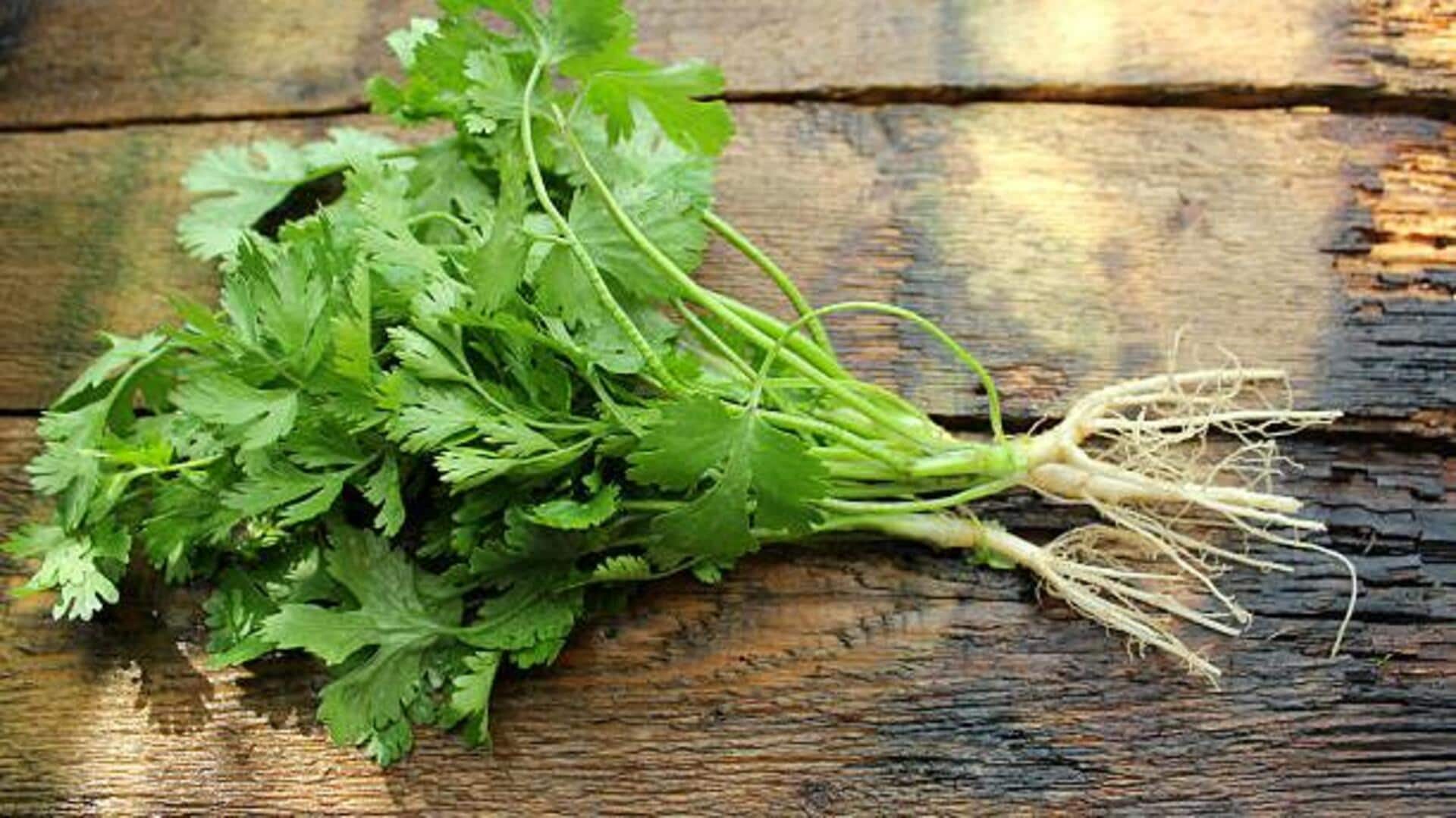 รากผักชี: เคล็ดลับผิวสวยและเปล่งปลั่ง