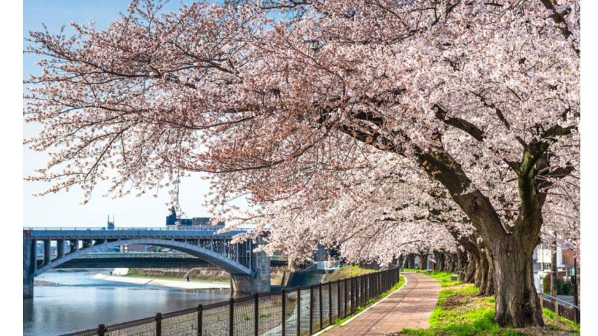 สวนห้ามพลาดในเกียวโตช่วงฤดูใบไม้ผลิ