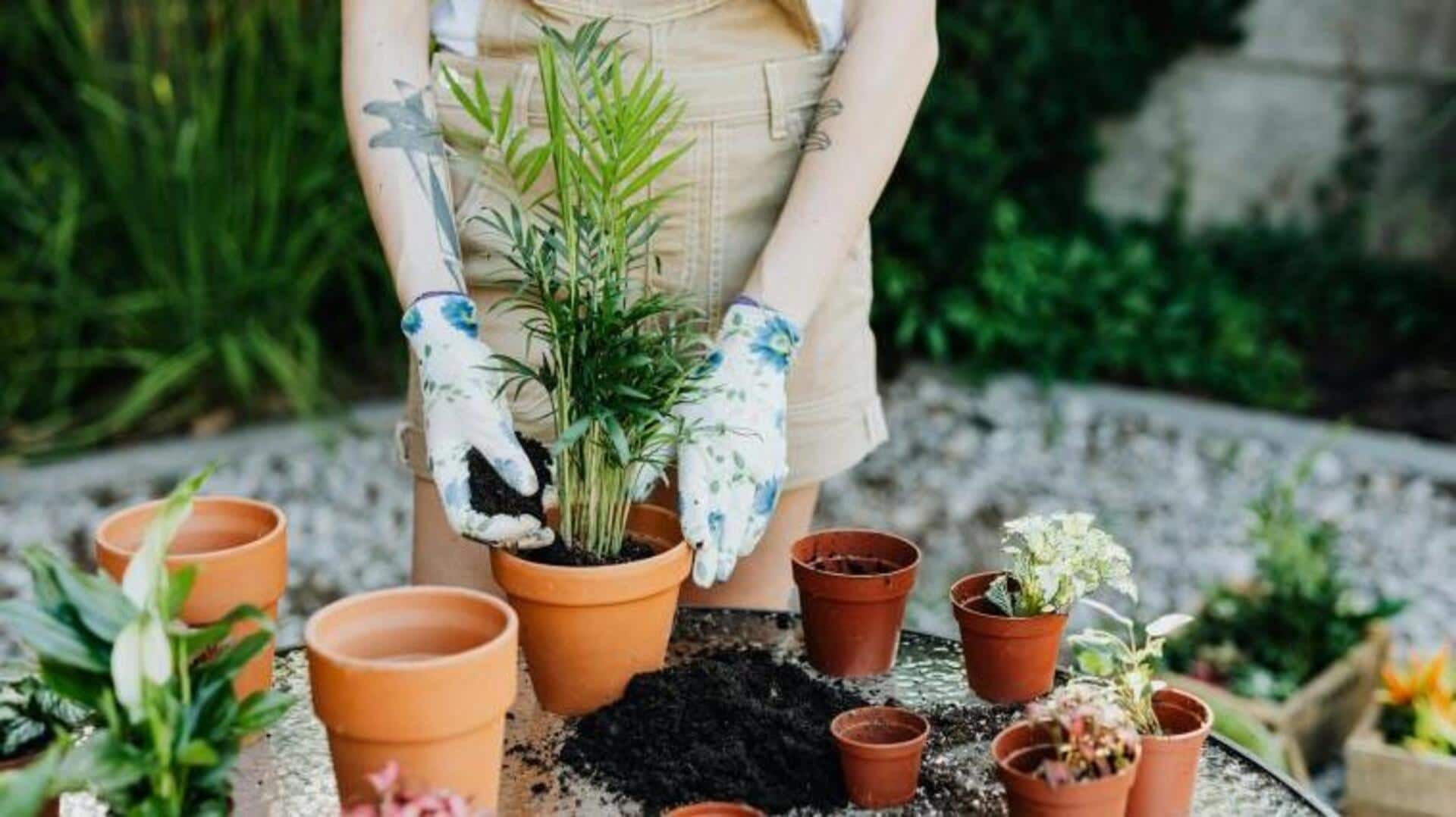 การเพิ่มพลังบวกผ่านการทำสวนอย่างมีสติ