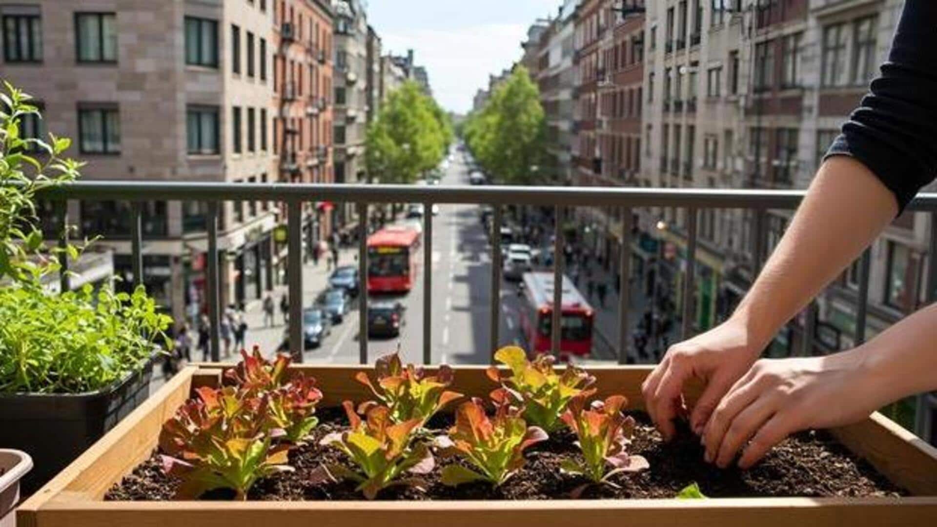 5 วิธีเสริมสุขภาพด้วยกิจกรรมทำสวนในเมือง