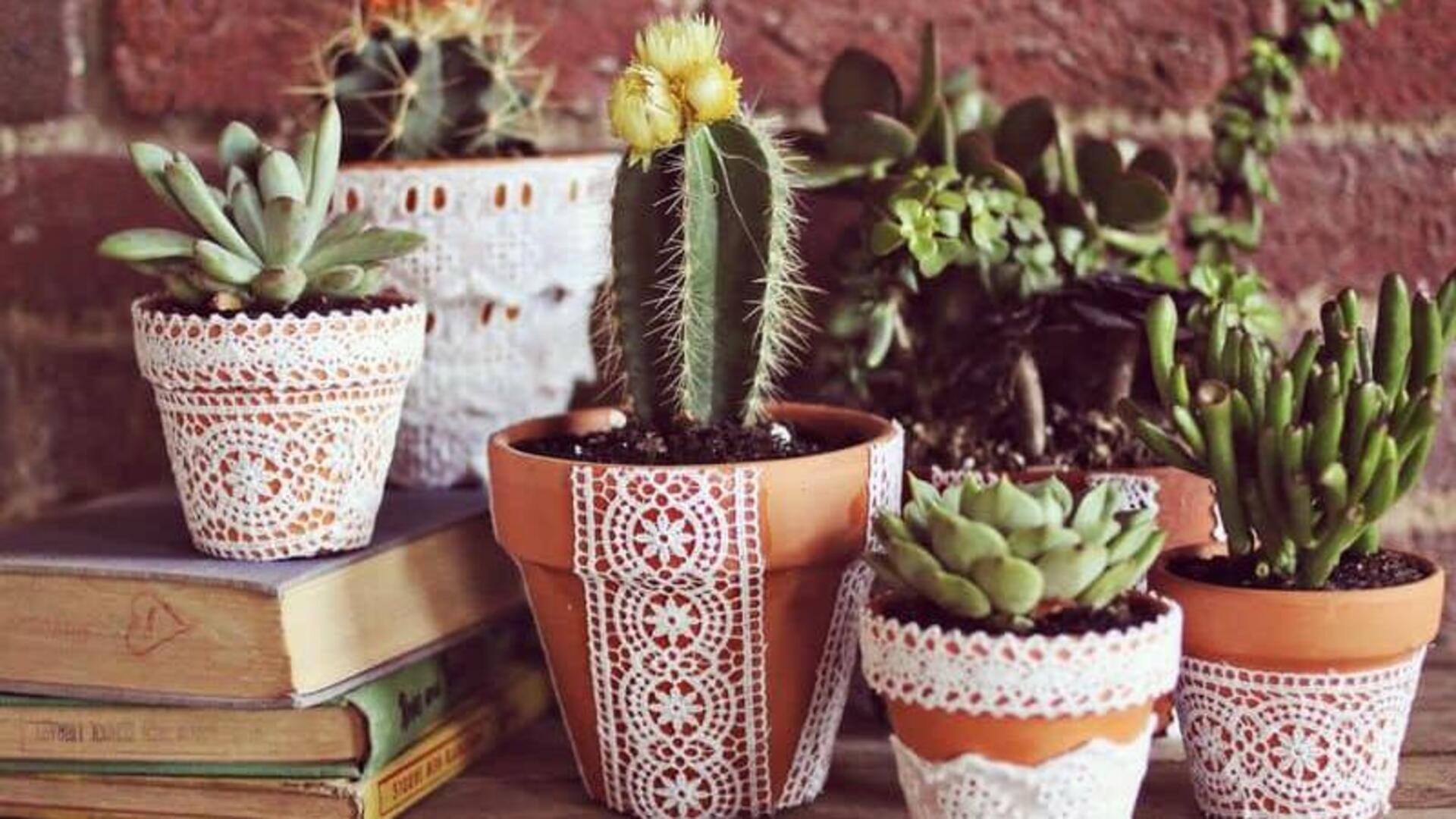 รีไซเคิลผ้าลูกไม้เก่าเป็นกระถางต้นไม้แฮนด์เมดสุดน่ารัก