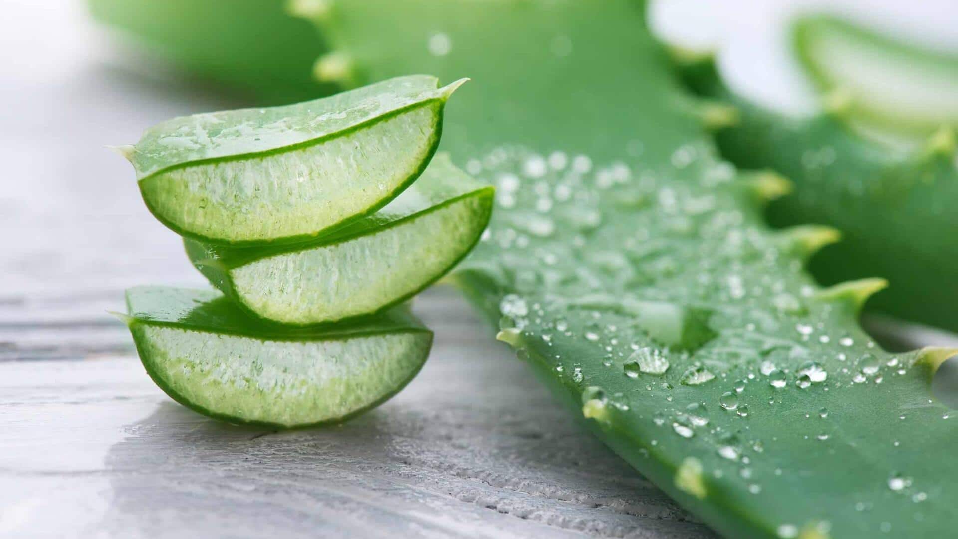 ว่านหางจระเข้: เคล็ดลับความงามที่หลายคนมักมองข้าม