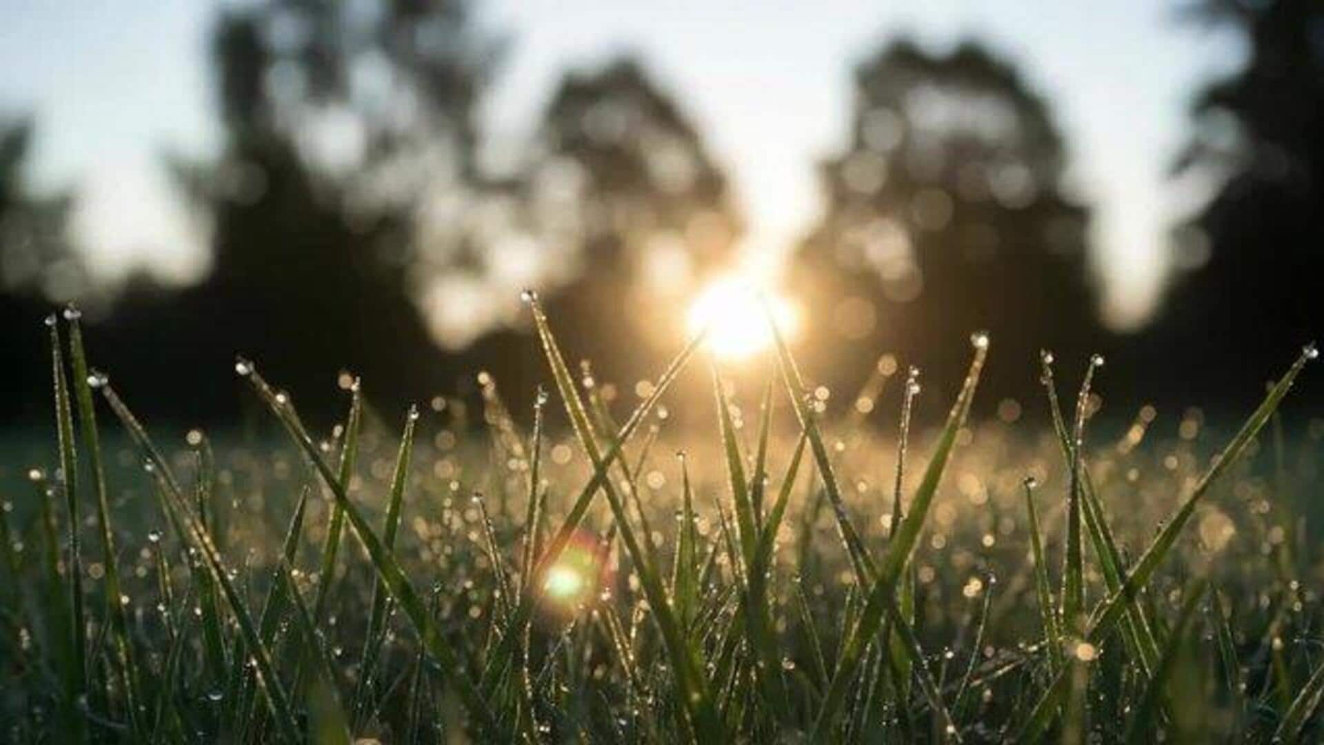 ตื่นตัวด้วยแสงแดดยามเช้า 5 วิธี