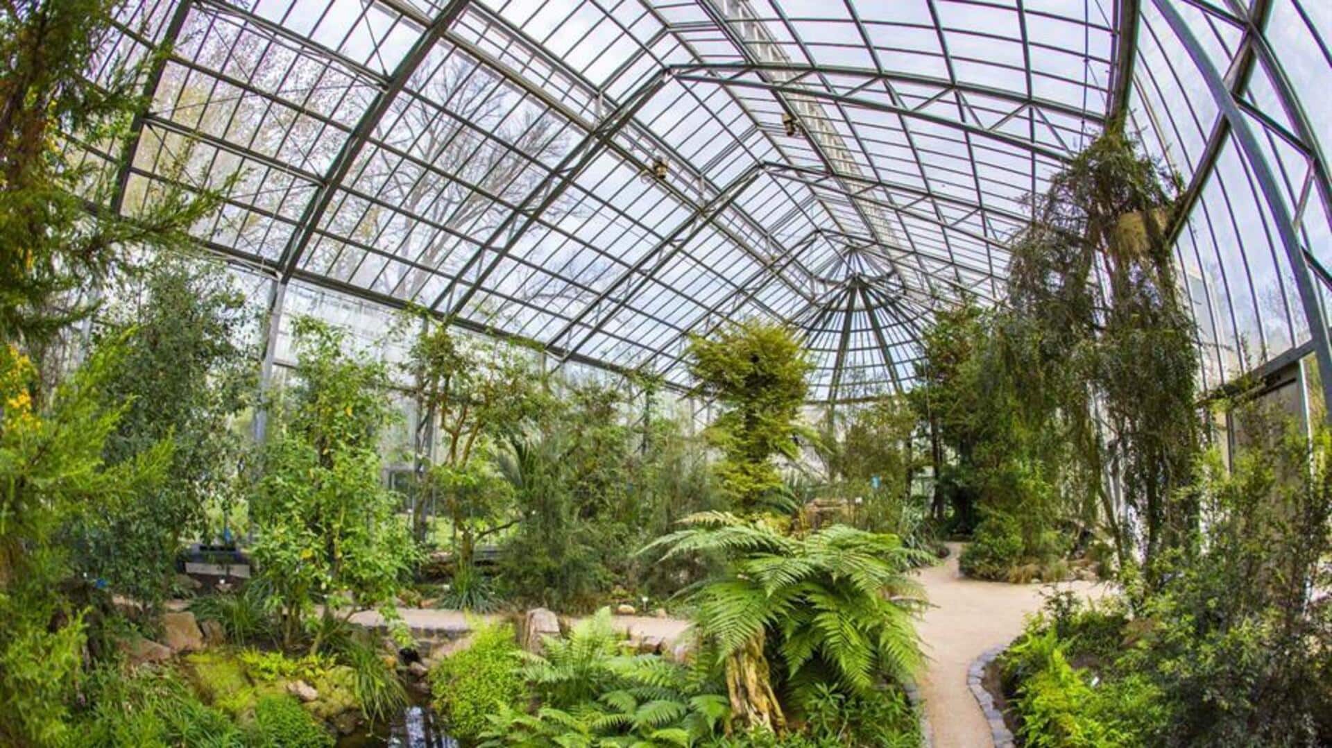 เรือนกระจกสุดประทับใจในสกอตแลนด์