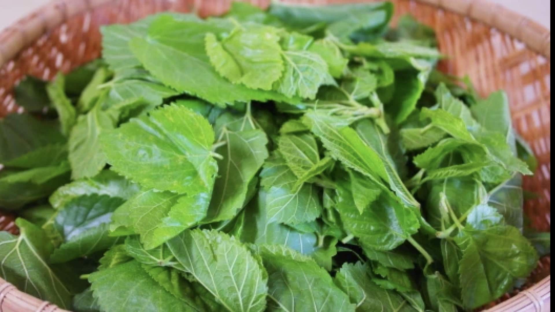 ผัดใบหม่อน: เมนูเจรสชาติอร่อย ผัดใบหม่อน: เมนูเจรสชาติอร่อย