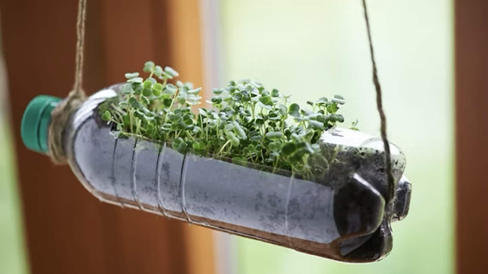 รีไซเคิลเข็มกลัดเก่าให้กลายเป็นไอเท็มแก้ปัญหาในบ้าน