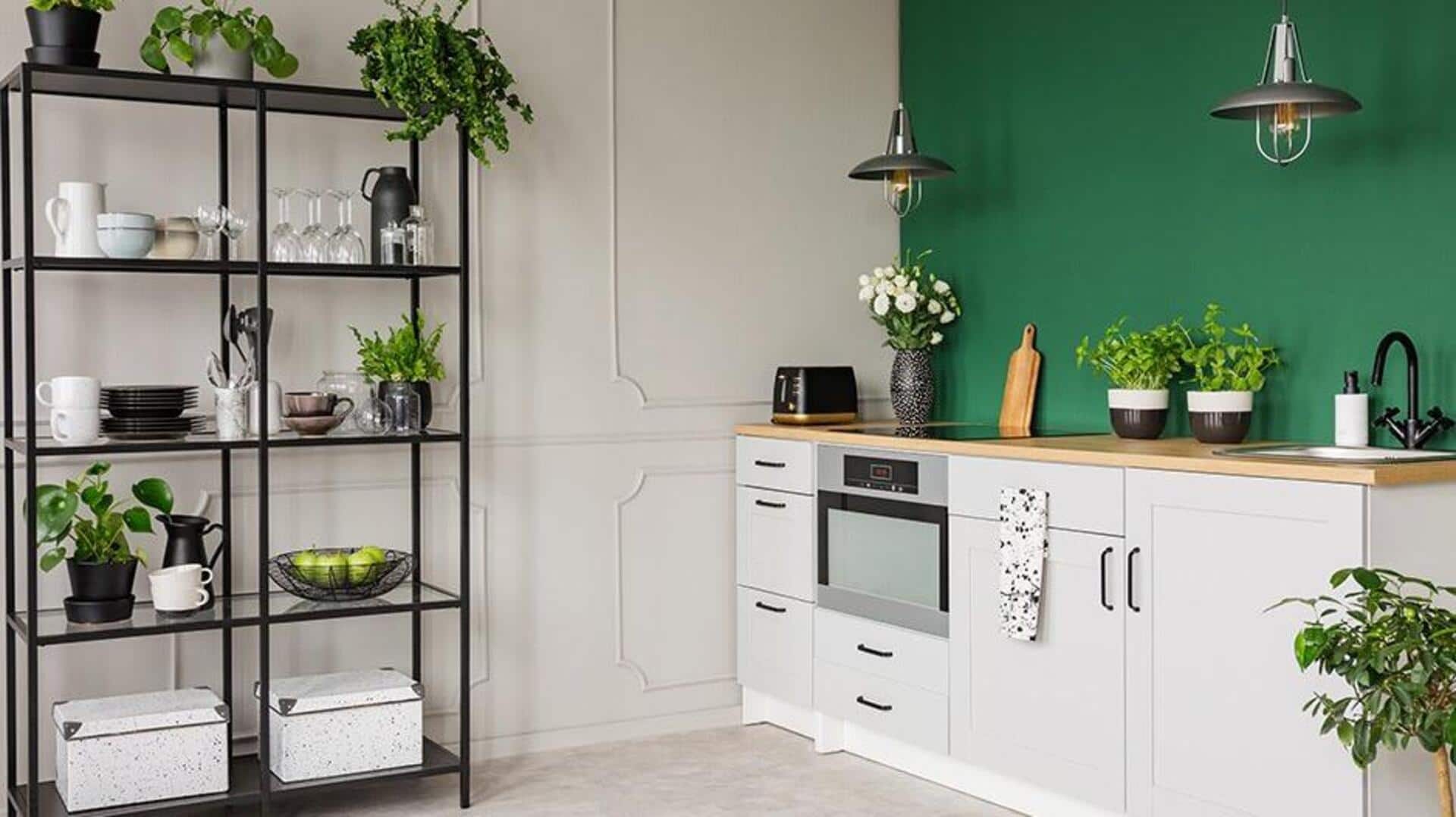 สวนในร่มประหยัดงบจากของใช้ในครัว