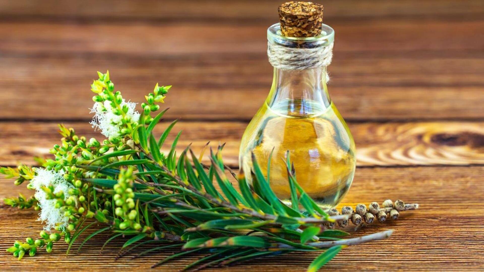 ประโยชน์ความงามของทีทรี: เคล็ดลับสู่ผิวใสและสุขภาพดี