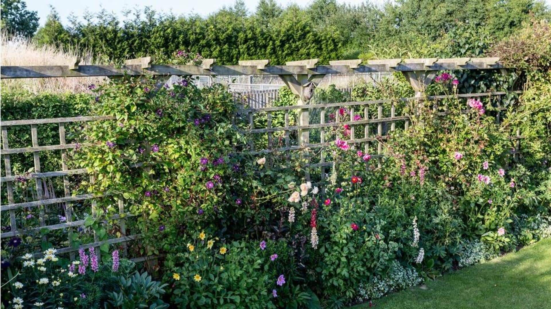 ไอเดียทำเทรลลิสในสวนด้วยไม้ไผ่แบบประหยัดงบ