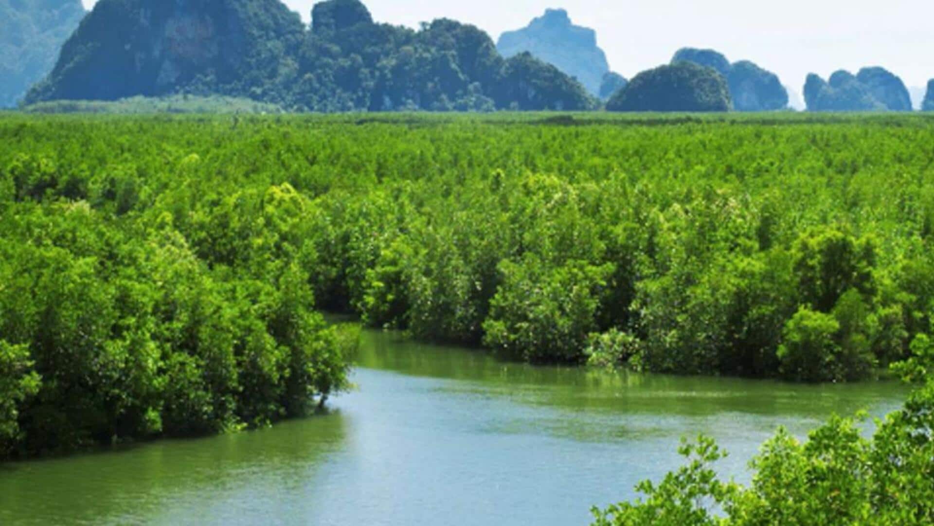 สถานที่ลับในลพบุรีสำหรับผู้รักธรรมชาติ