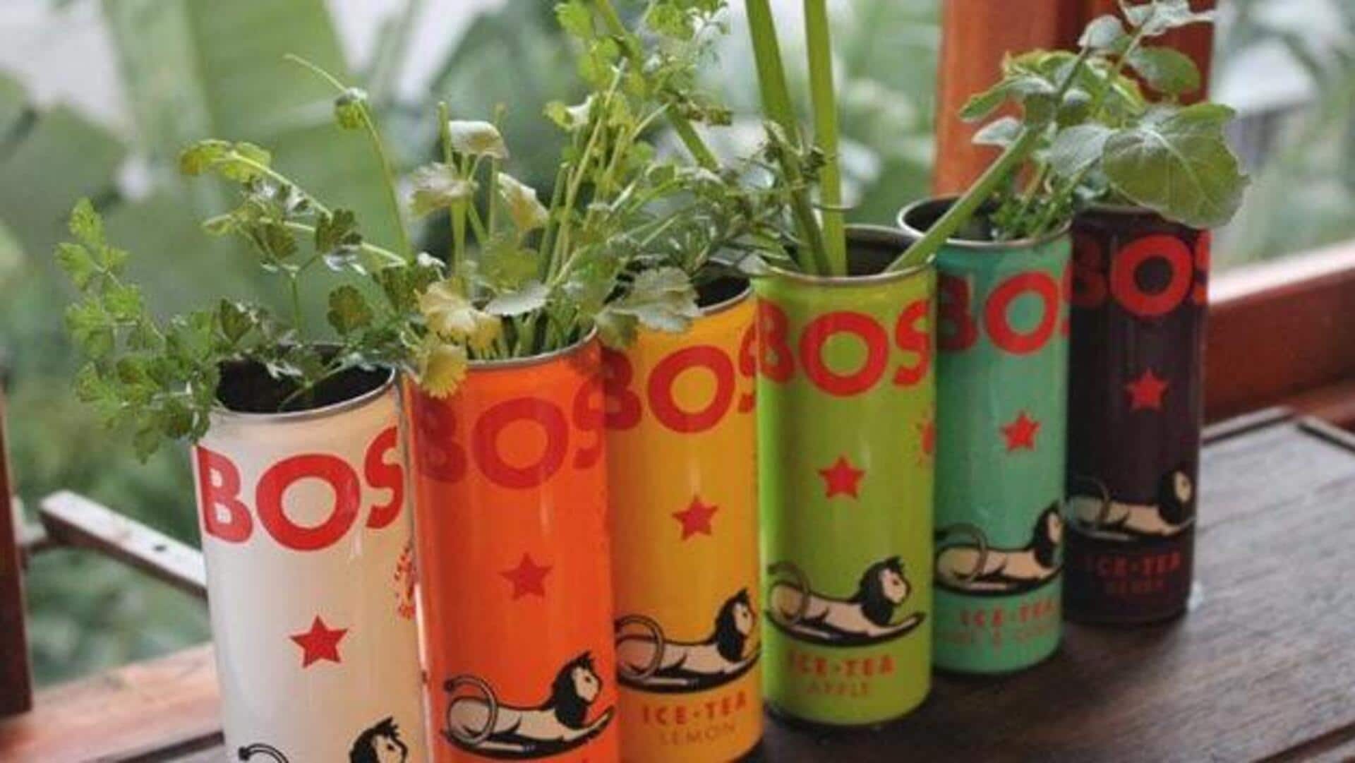 วิธีทำกระถางสมุนไพรขนาดจิ๋วจากกระป๋องดีบุกเปล่า