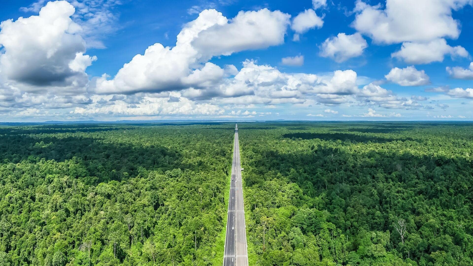 สำรวจป่าฝนเขียวชอุ่มและสัตว์ป่าเฉพาะถิ่นที่อูลูเตมบูรง, บรูไน