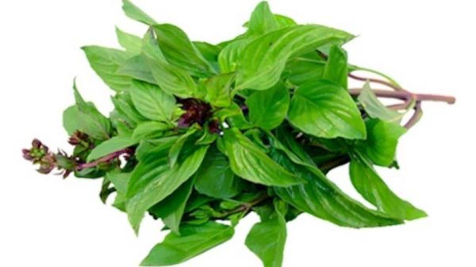 ใบโหระพา: 5 ประโยชน์ความงามที่ไม่เคยล้าสมัย