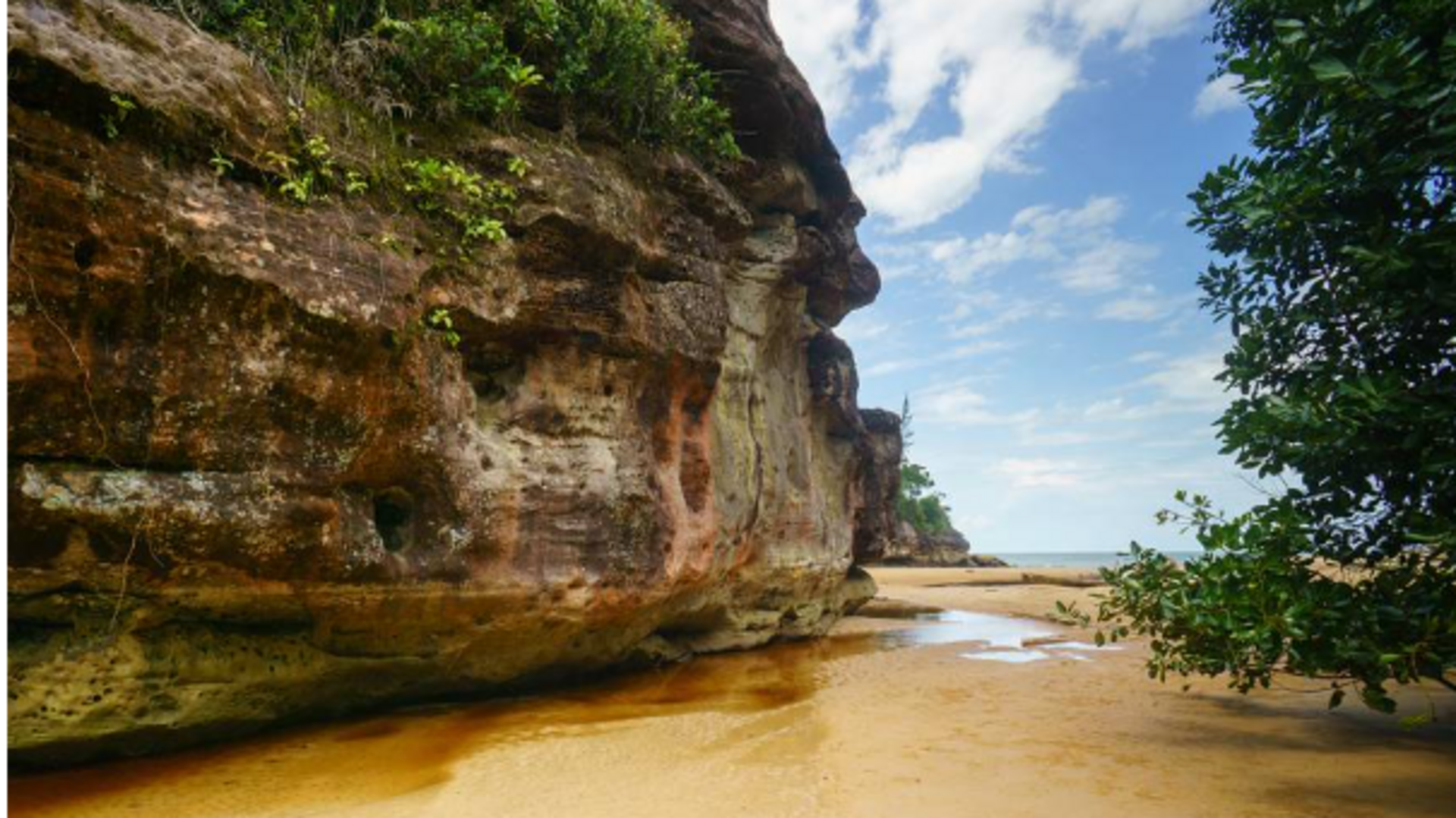 สำรวจความหลากหลายทางชีวภาพและภูมิทัศน์ที่สดใสของอุทยานแห่งชาติบาโก, มาเลเซีย