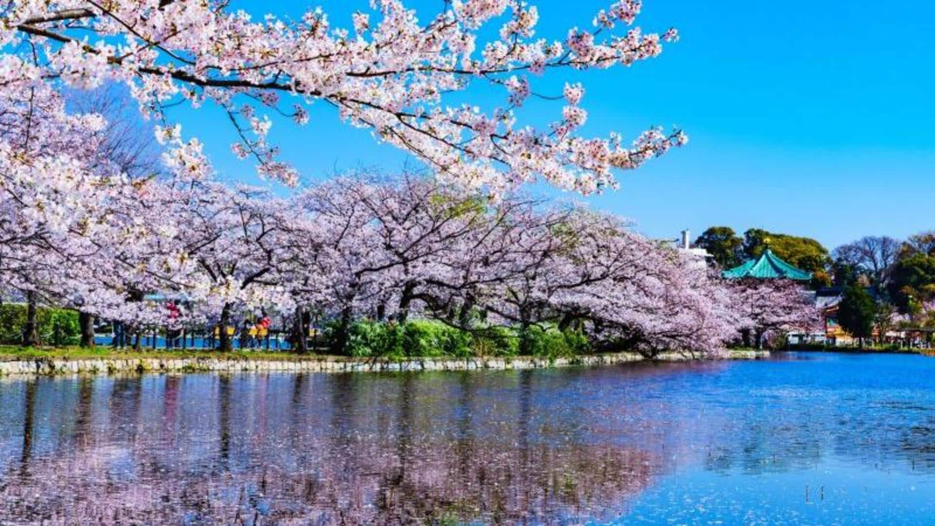 สวนลับในโตเกียว: มุมสงบกลางเมืองใหญ่
