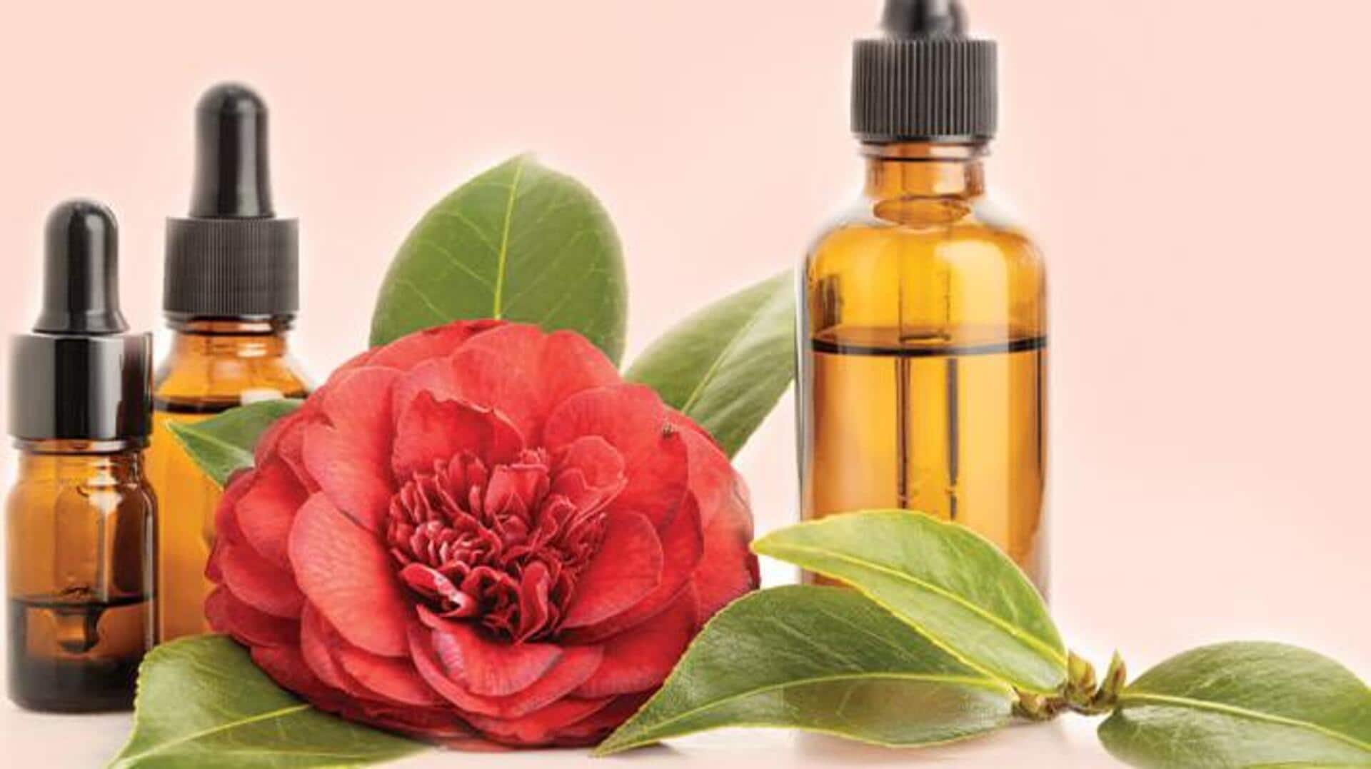 น้ำมันเมล็ดคาเมเลีย: เคล็ดลับสู่ผิวสวยเรียบเนียน