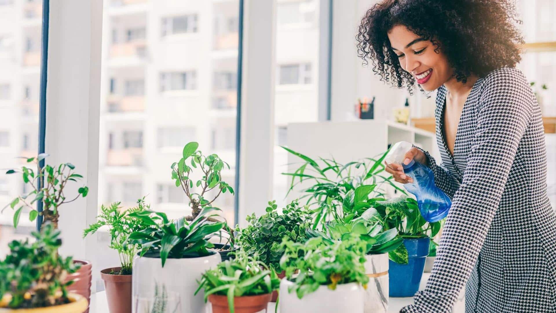 5 นิสัยการดูแลพืชที่ช่วยเสริมสร้างวินัยในชีวิตประจำวัน