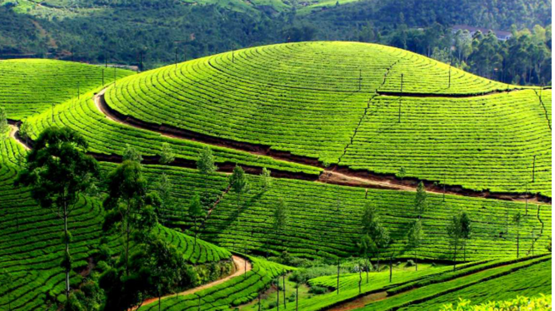 สำรวจที่ราบสูงอาร์ดาฮานที่สวยงามในตุรกี