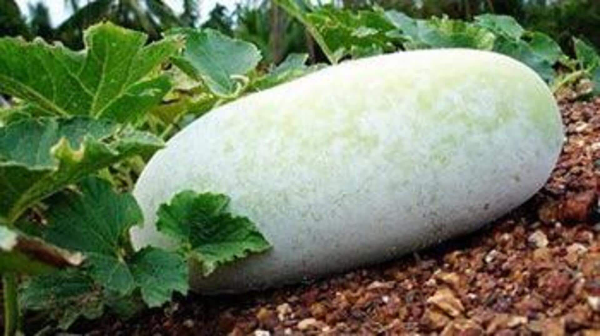 ฟักเขียว: เคล็ดลับความงามเพื่อผิวชุ่มชื้นและเปล่งปลั่ง