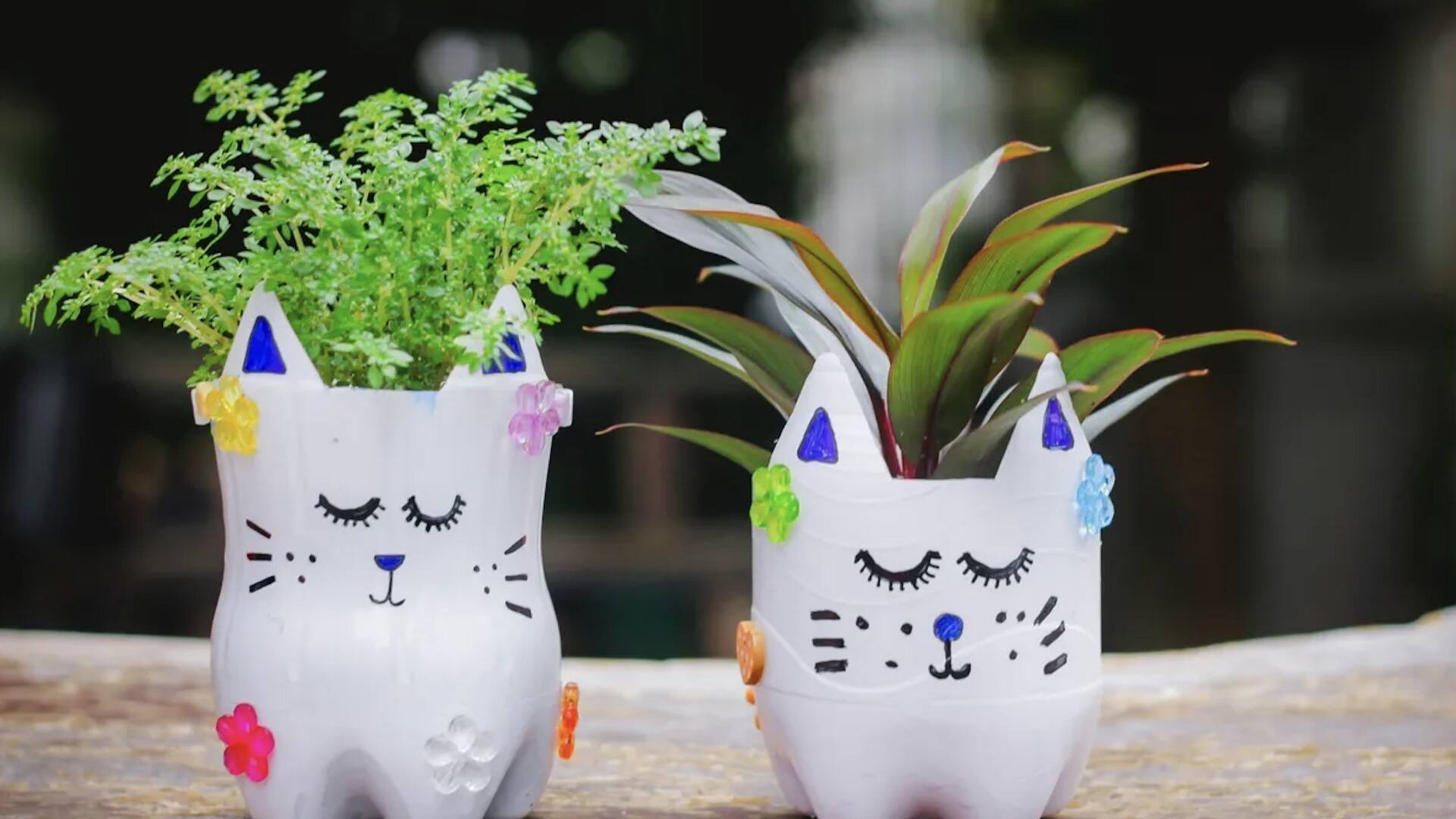 รีไซเคิลภาชนะในครัว เป็นกระถางต้นไม้สุดคุ้ม