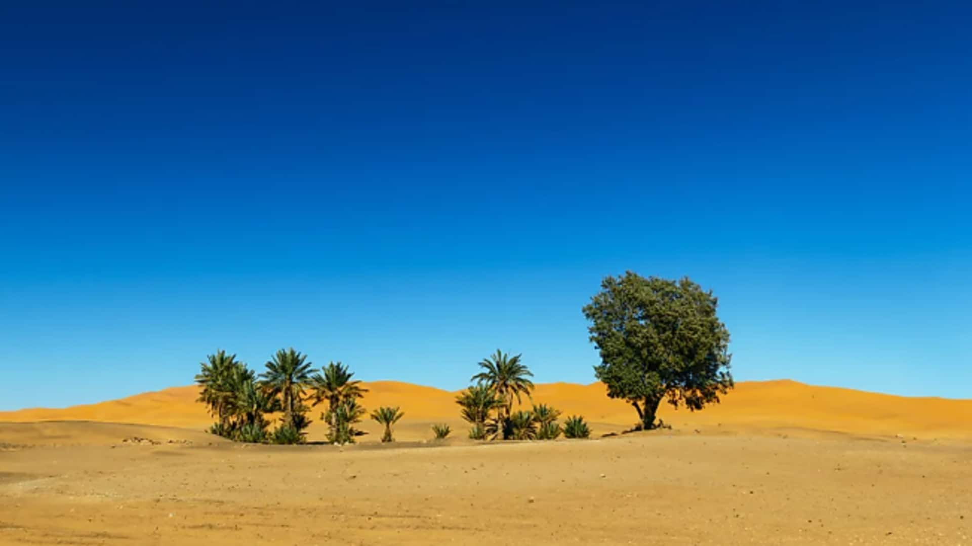 โอเอซีสที่ซ่อนอยู่ในกรุงโซลที่ห้ามพลาดไปเยี่ยมเยือน