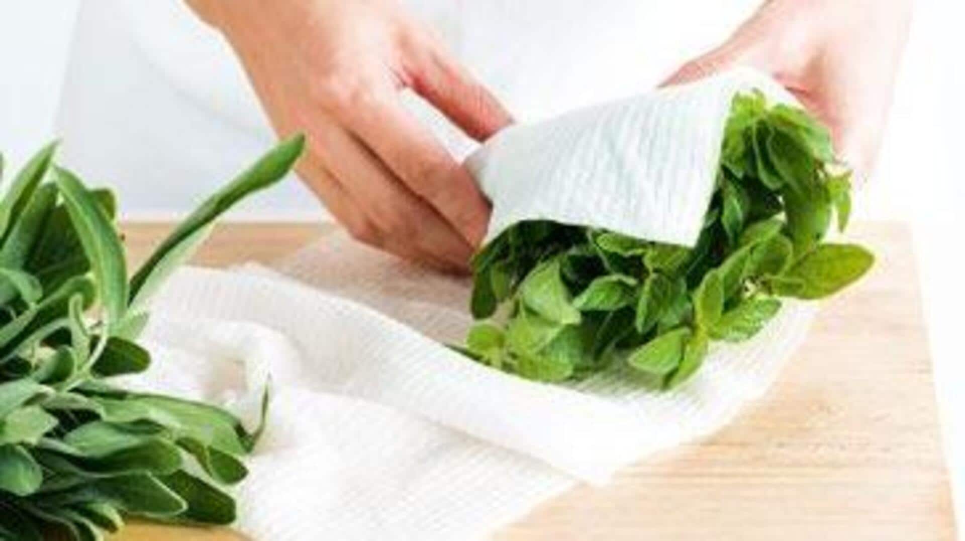 วิธีเก็บสมุนไพรให้สดด้วยกระดาษทิชชู่