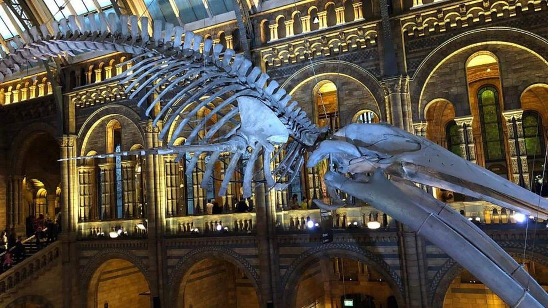 พิพิธภัณฑ์ใต้ดินน่าสนใจในลอนดอน