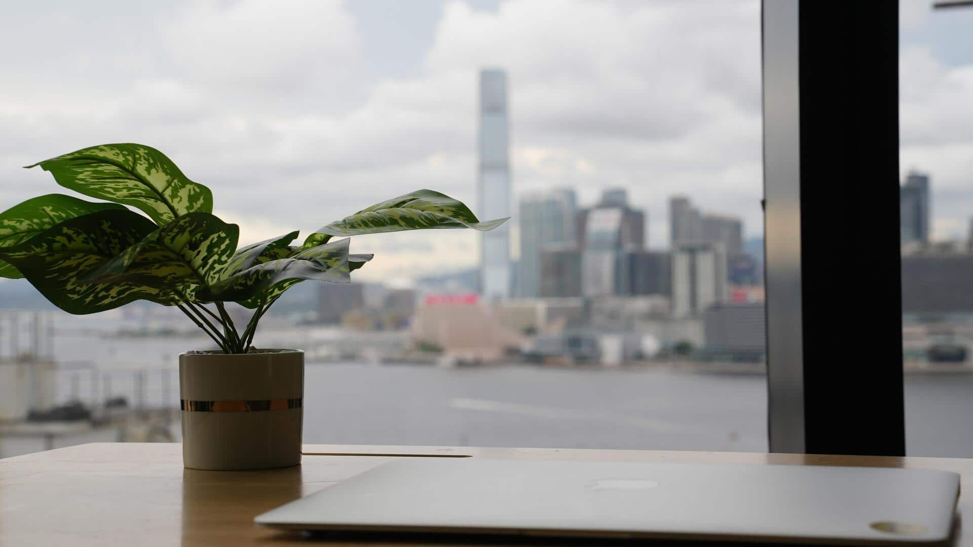 5 วิธีเพิ่มสมาธิด้วยพื้นที่ทำงานที่ปราศจากสิ่งรบกวน