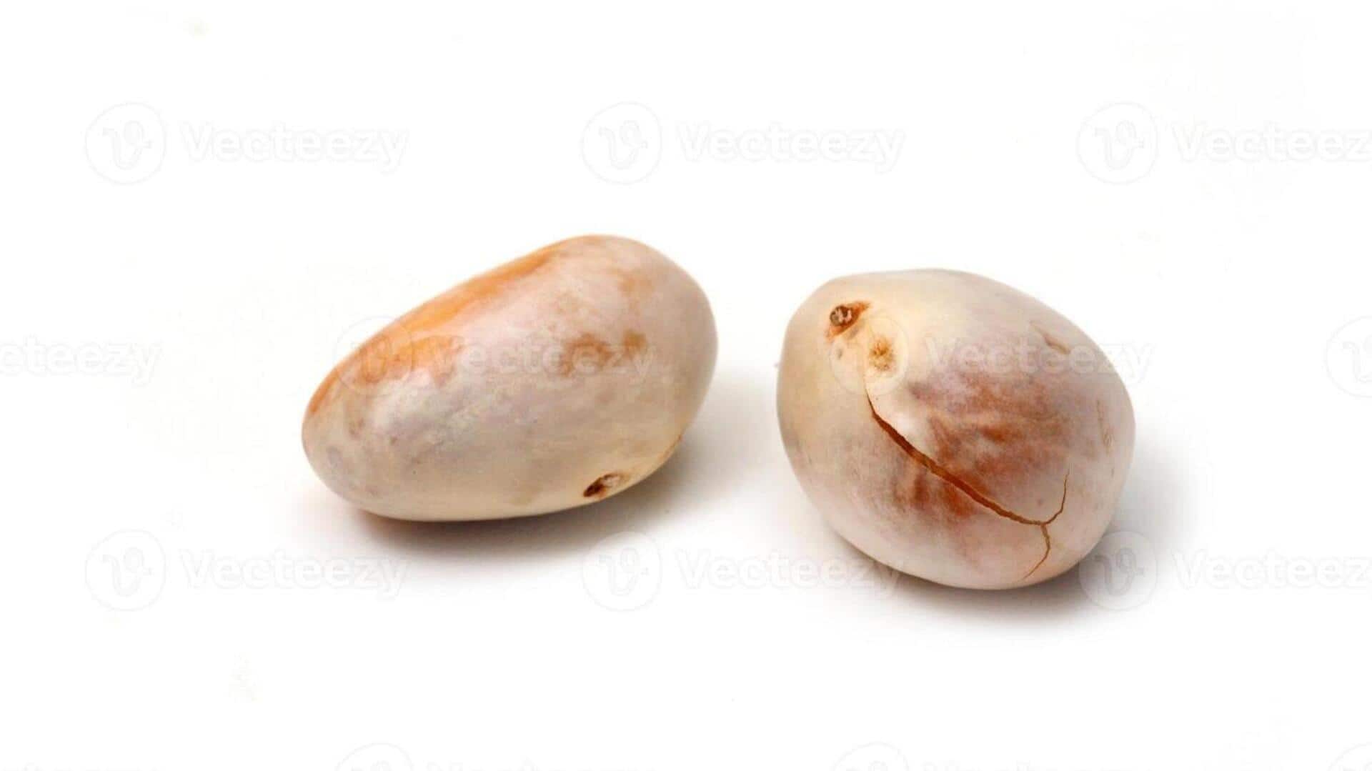 แกงเม็ดขนุนมังสวิรัติสูตรคลีน ไม่พึ่งกะทิหรือผลิตภัณฑ์นม 