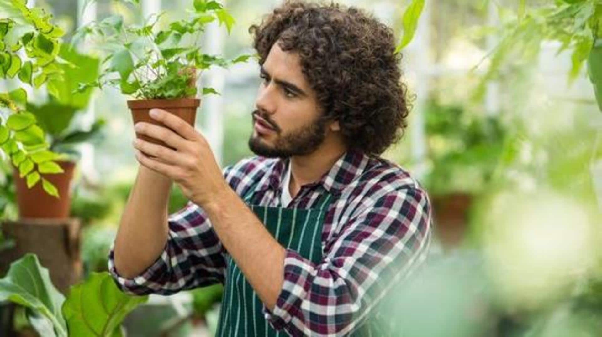 การทำสวนยามเช้าเพื่อเพิ่มอารมณ์สดใส