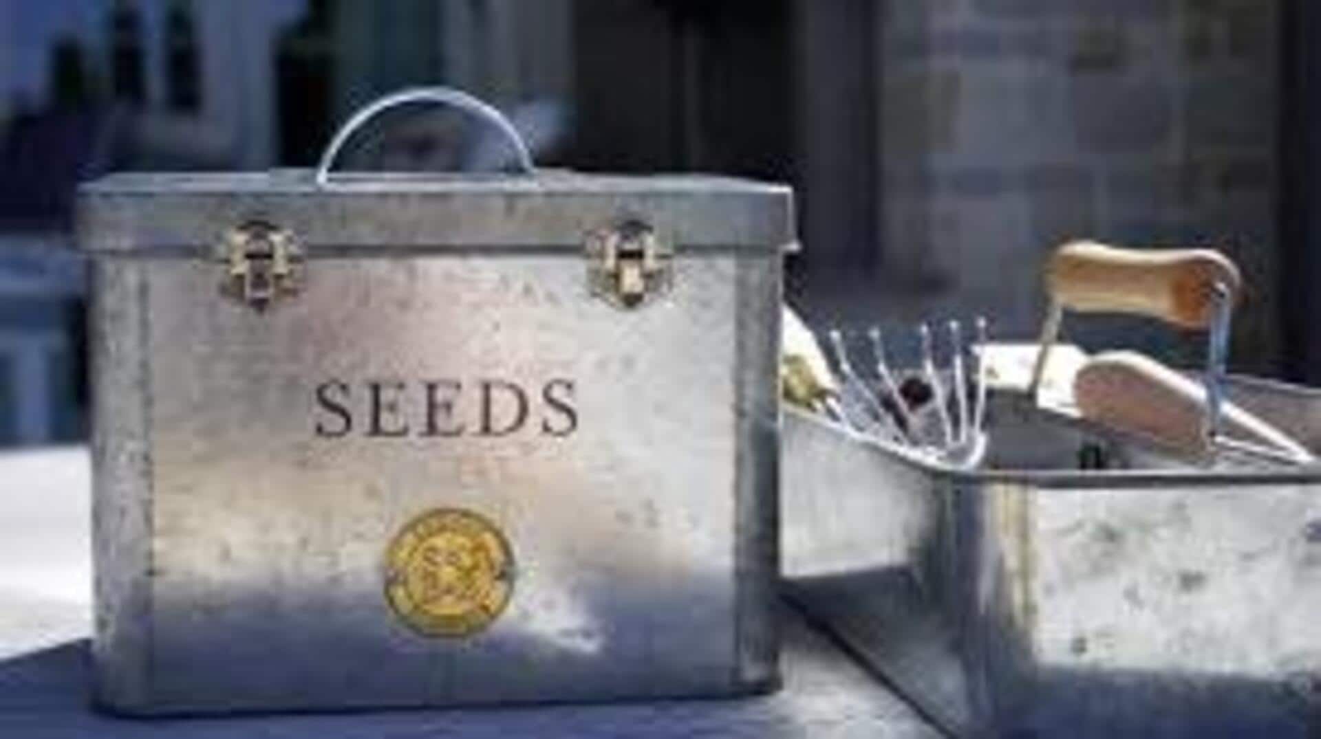 รีไซเคิลซองเมล็ดพันธุ์ที่เหลืออยู่ให้กลายเป็นของใช้ในบ้าน