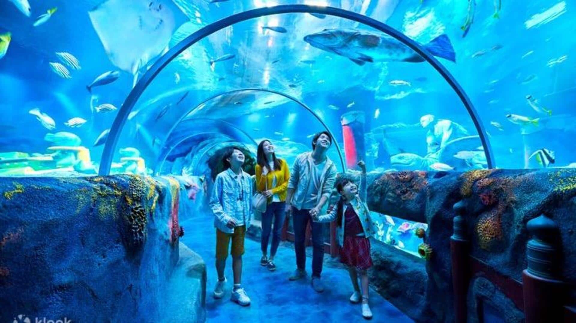 สัมผัสประสบการณ์ทางทะเลที่น่าตื่นตาตื่นใจในอควาเรียมนาโกย่า