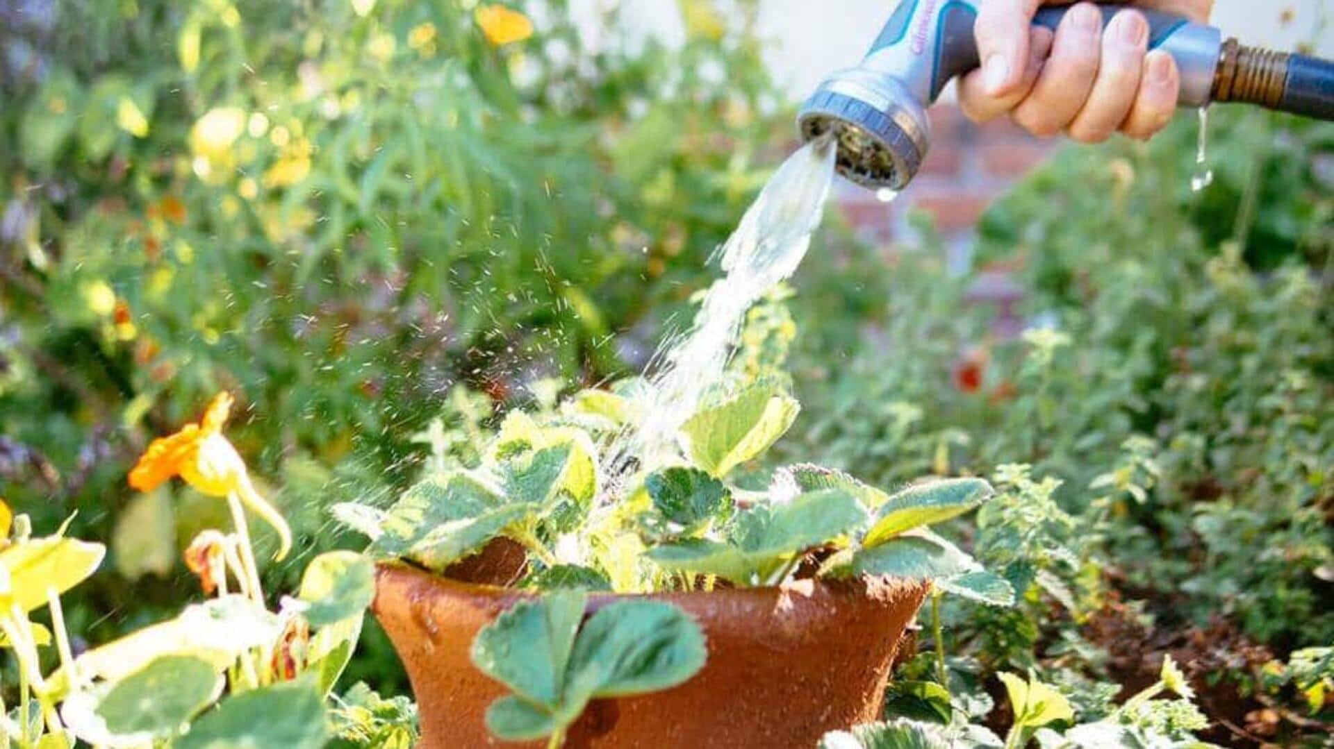 ผ่อนคลายความเครียดด้วยการรดน้ำต้นไม้ทุกวัน