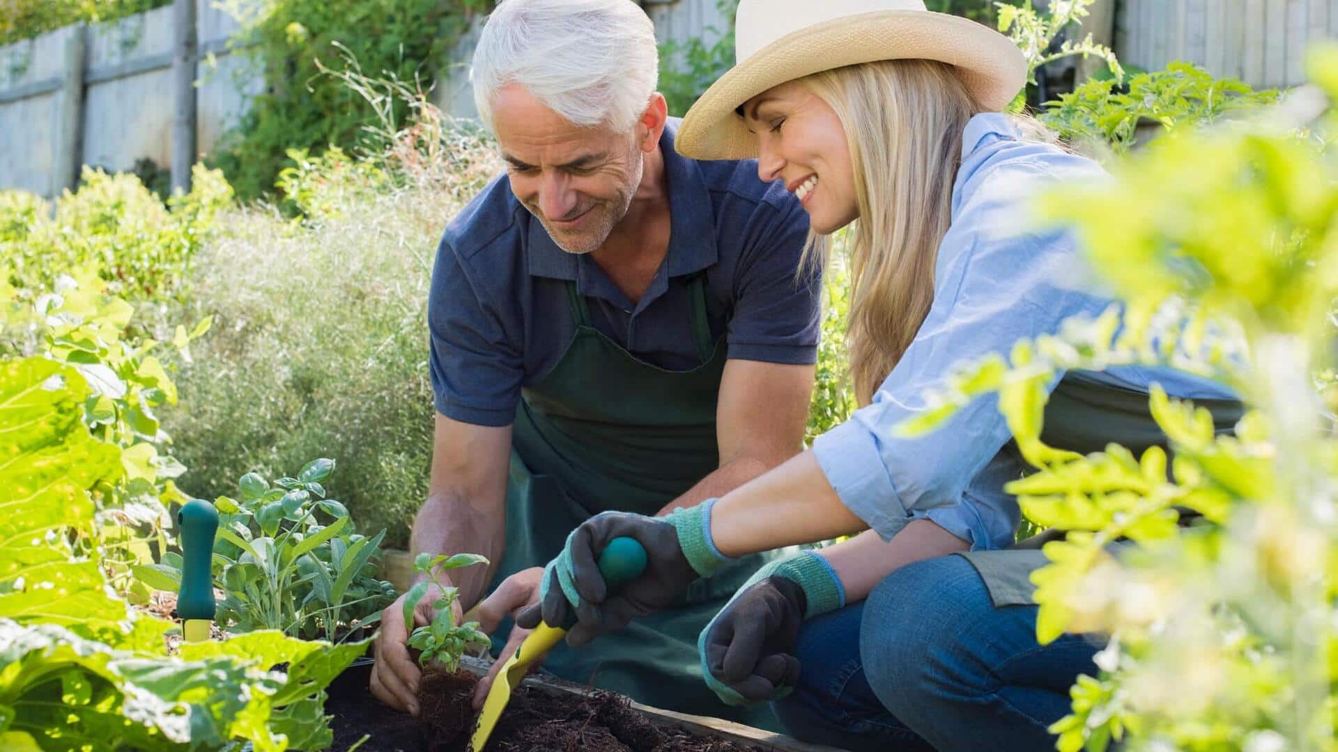 การจัดการความเครียดผ่านการทำสวน