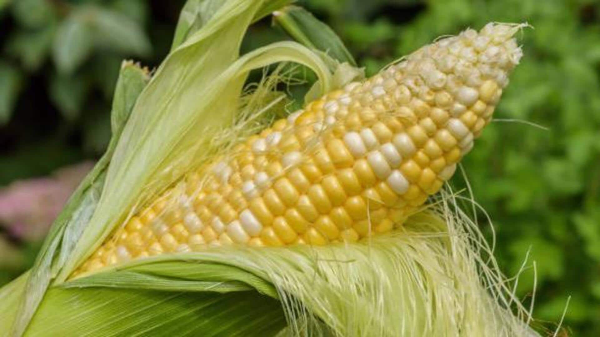 ประโยชน์ด้านความงามอันน่าทึ่งของไหมข้าวโพด