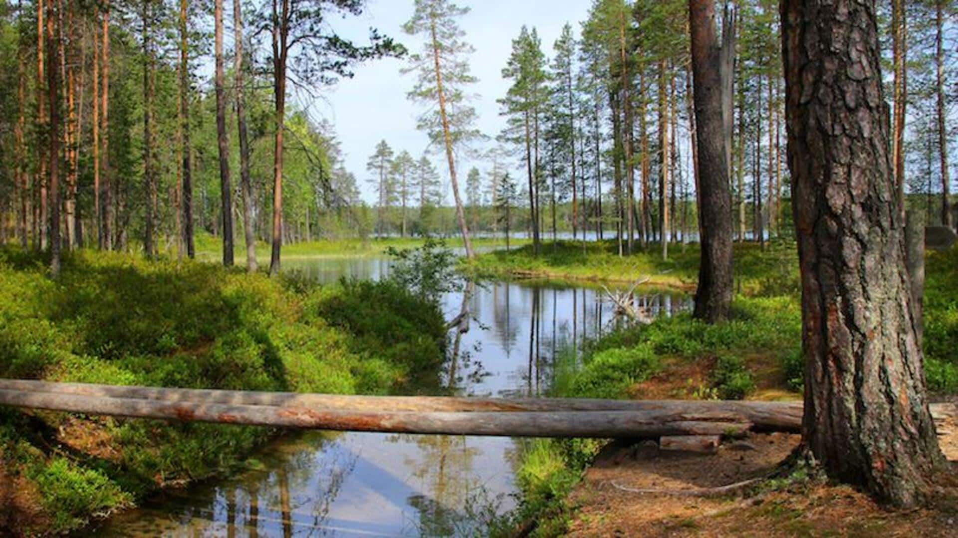 สวนสาธารณะแห่งฟินแลนด์: สถานที่พักผ่อนอันเงียบสงบ