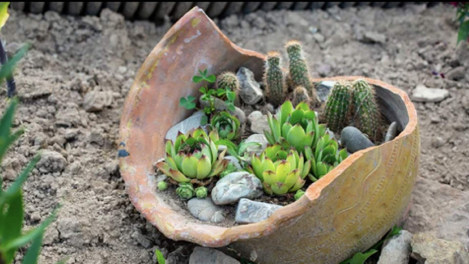 เปลี่ยนเศษกระถางดินเผาแตกเป็นวัสดุระบายน้ำในกระถางสวน