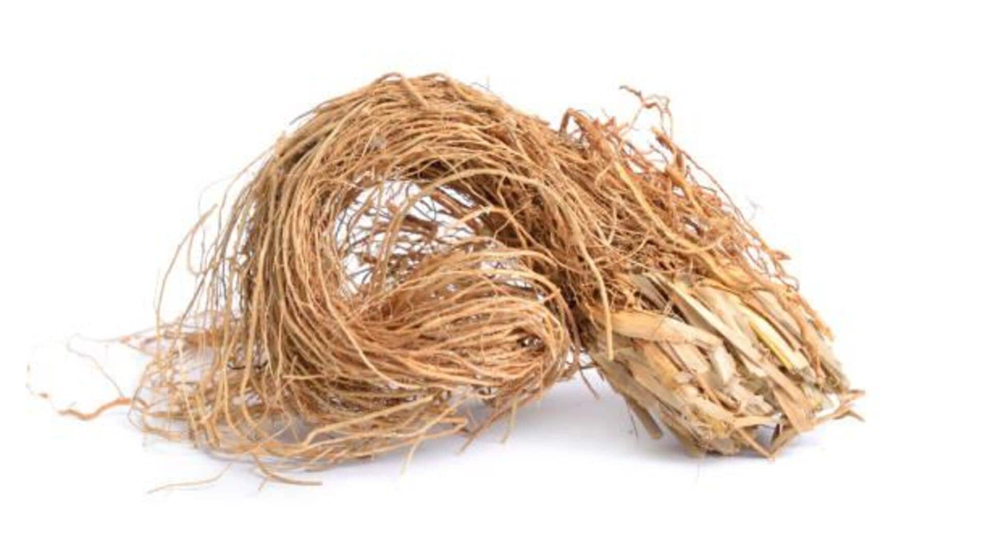 รากหญ้าแฝก: เปิดเผยพลังแห่งความงามที่ซ่อนอยู่