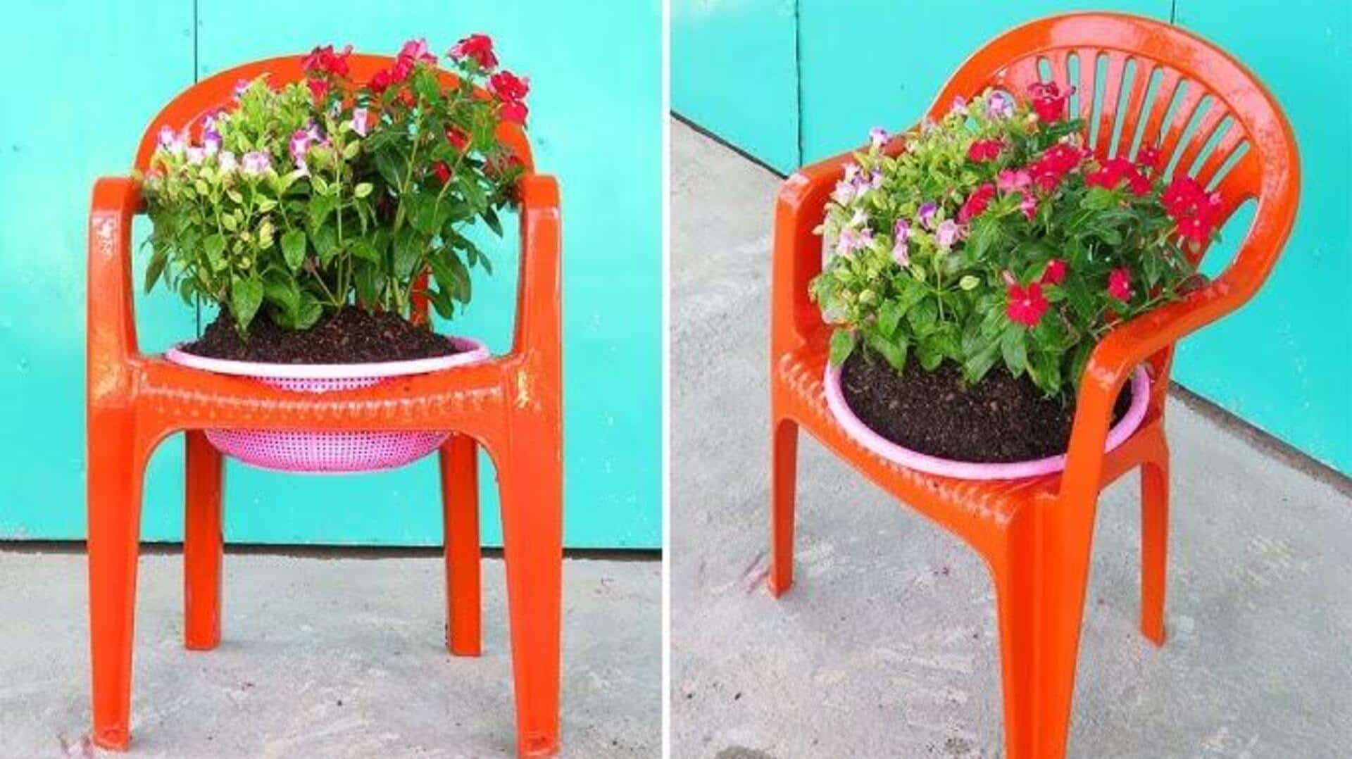 เปลี่ยนเก้าอี้พังให้กลายเป็นที่ใส่ต้นไม้สุดเก๋