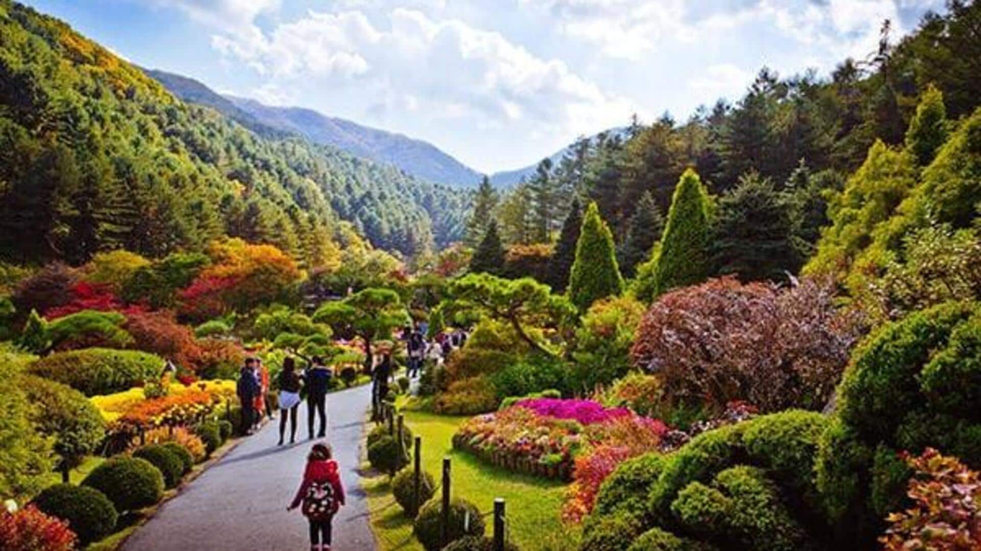 สวนพฤกษศาสตร์ที่น่าเที่ยวในเกาหลีใต้