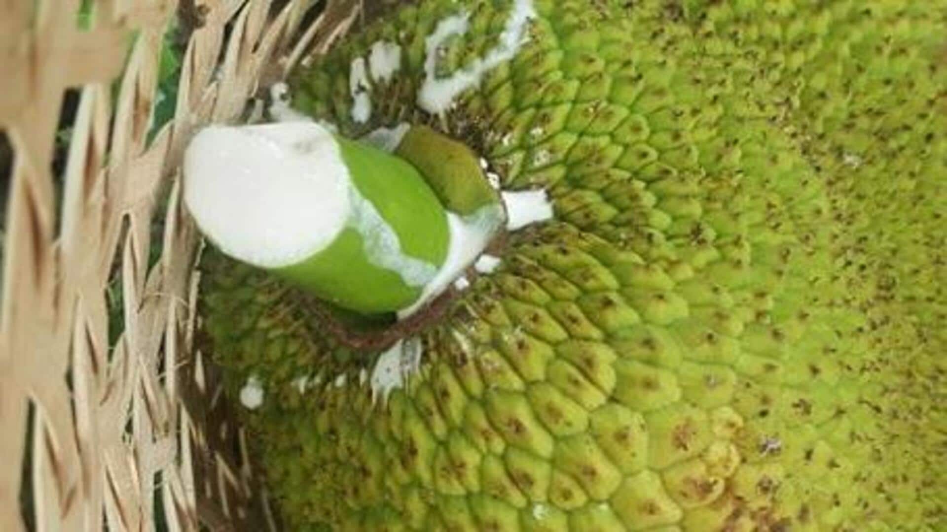 ประโยชน์ความงามของยางขนุนเพื่อผิวเนียนใส