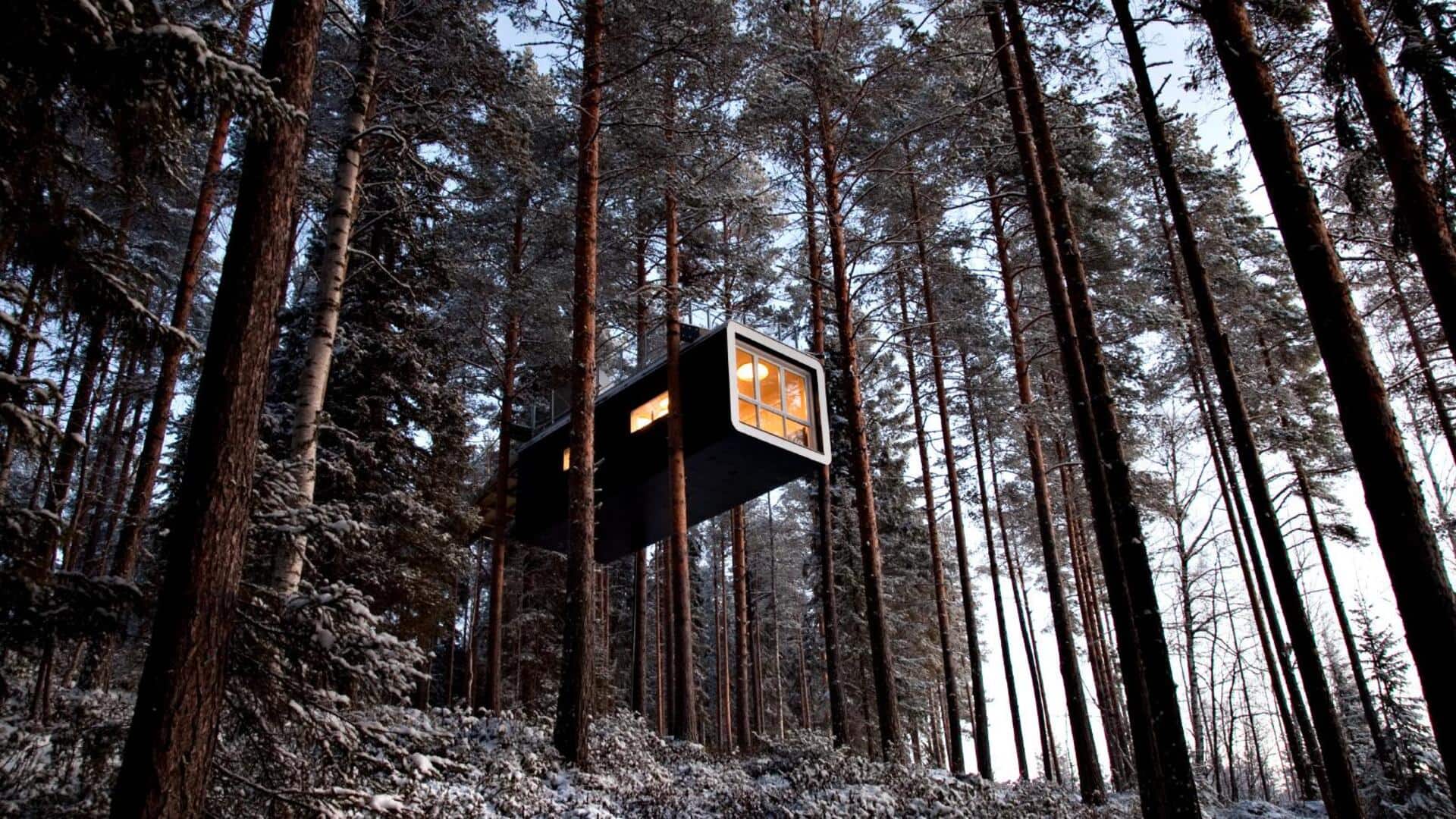 ที่พักบ้านต้นไม้สุดประทับใจกลางป่าเหนือสวีเดน