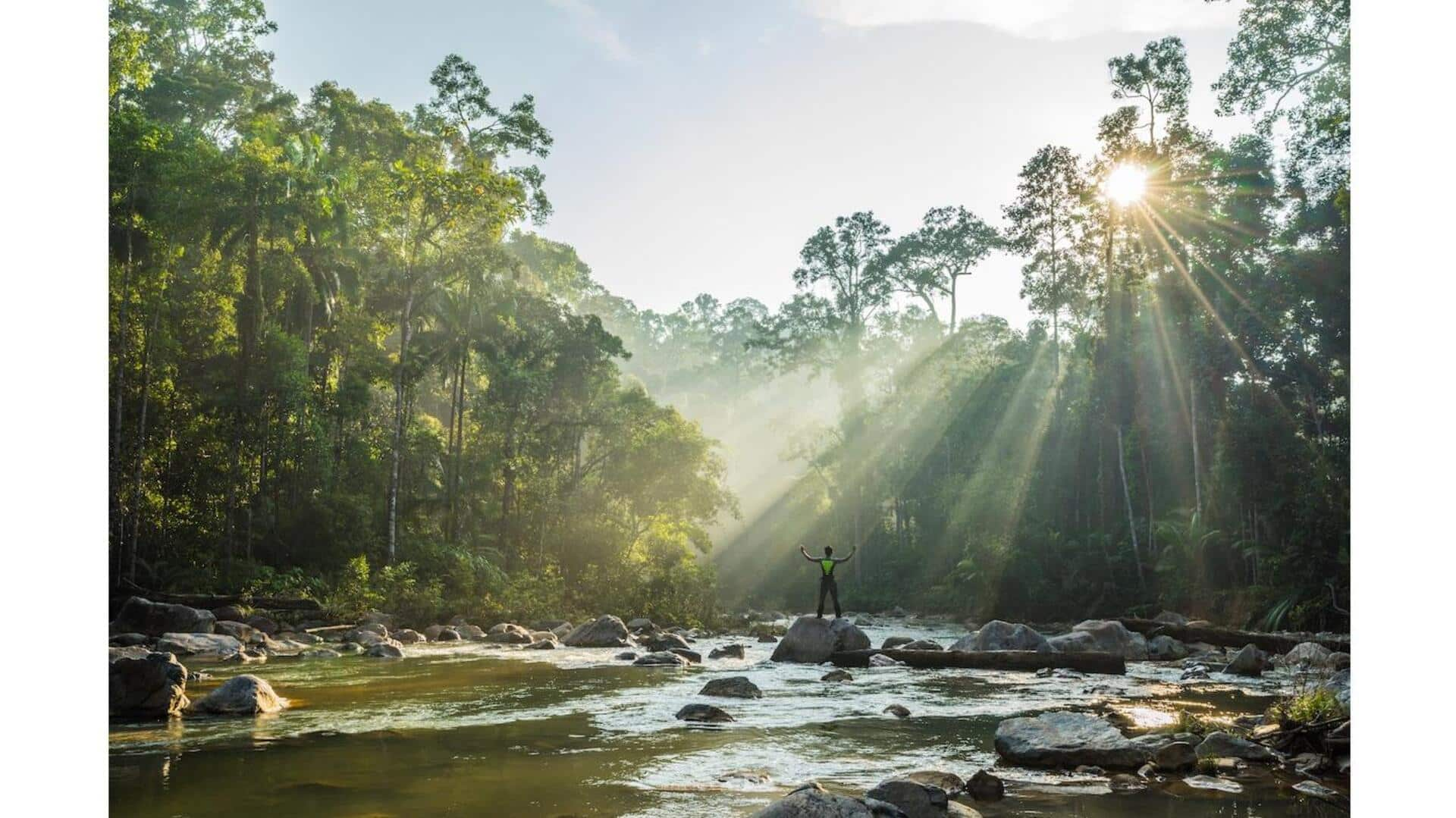 สำรวจอุทยานแห่งชาติที่หลากหลายของมาดากัสการ์