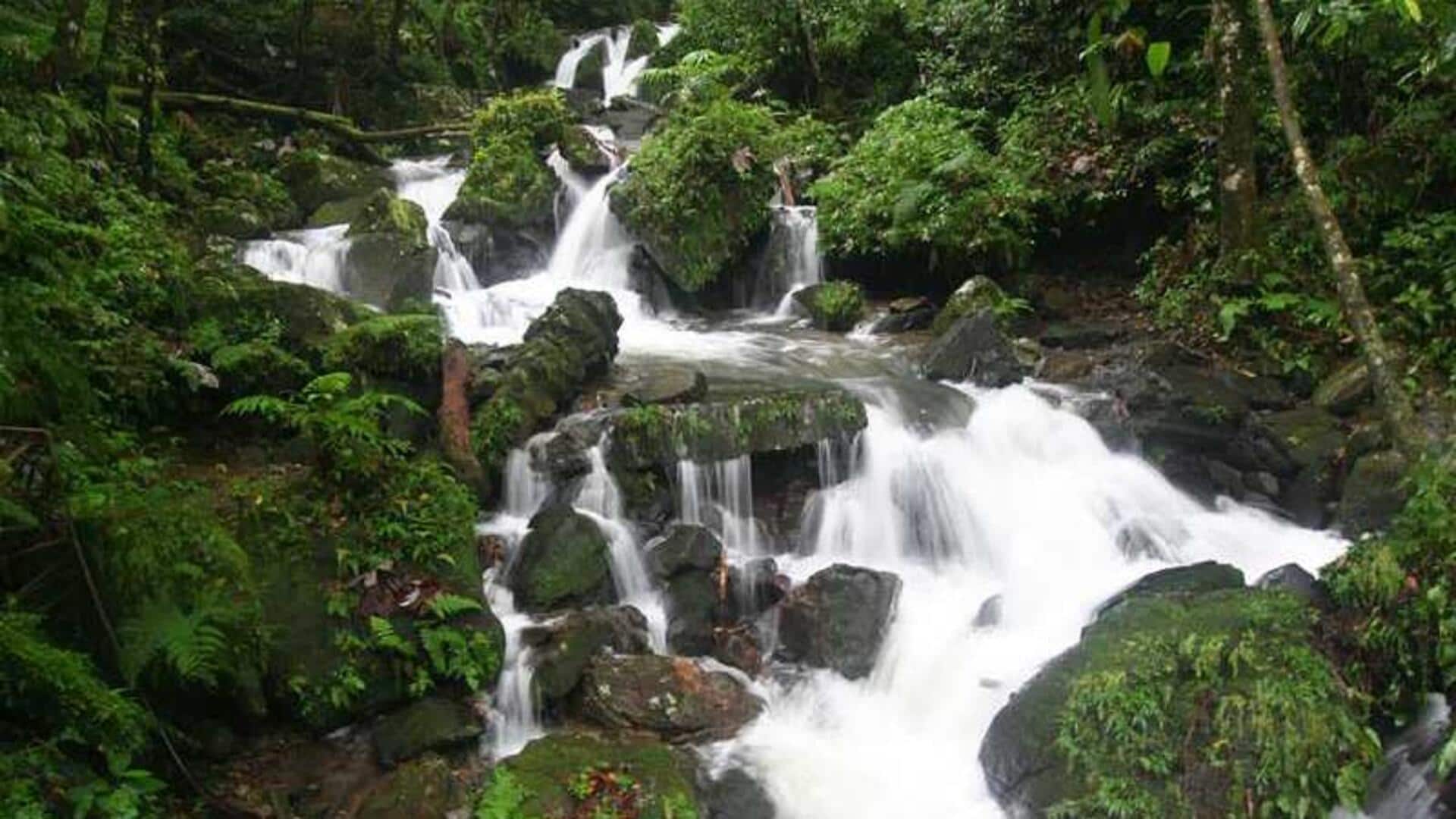 น้ำตกในเปอร์โตริโก: สถานที่พักผ่อนที่สมบูรณ์แบบ