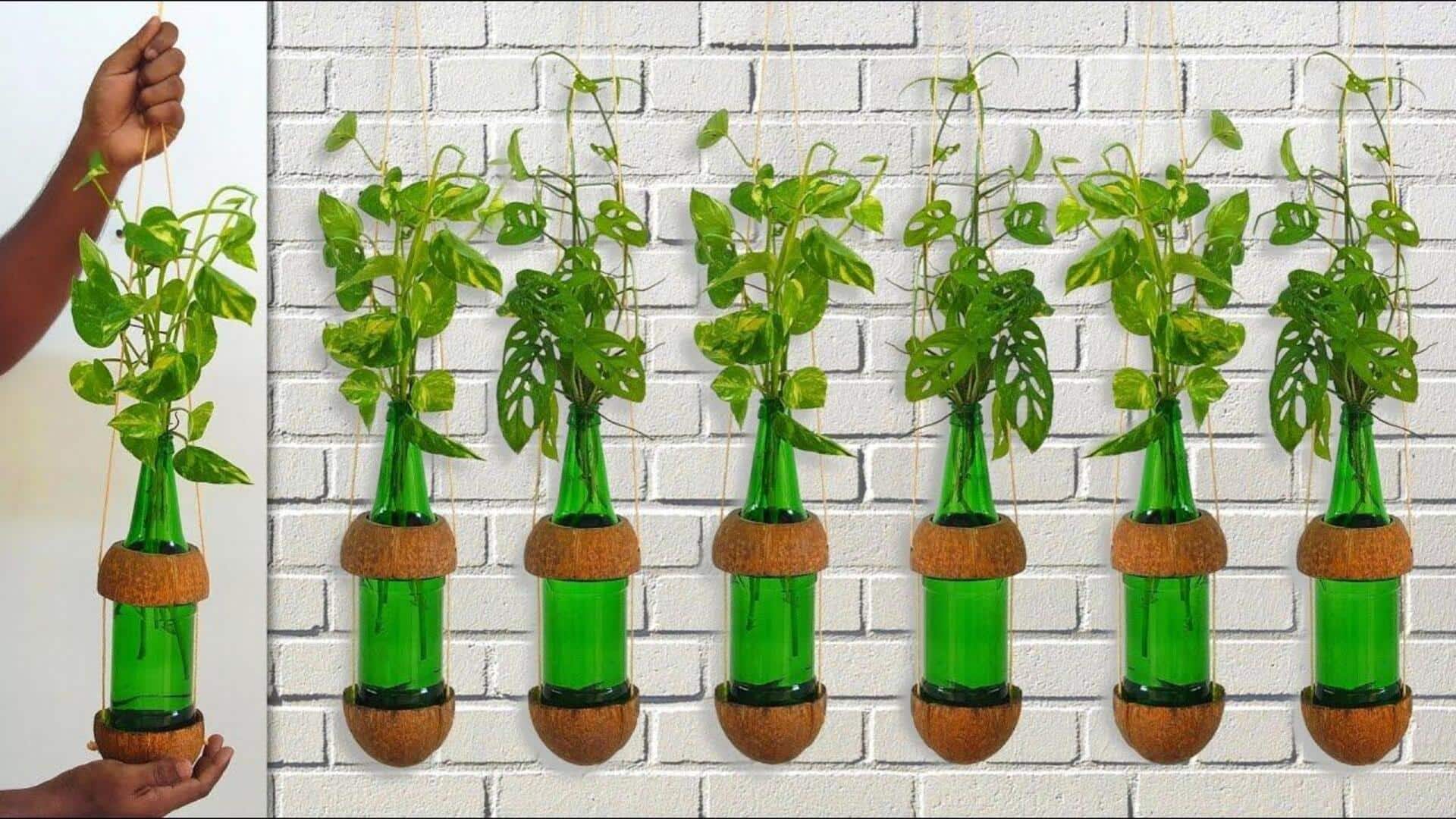 ไอเดียรีไซเคิลขวดแก้วเป็นกระถางต้นไม้รักษ์โลก 