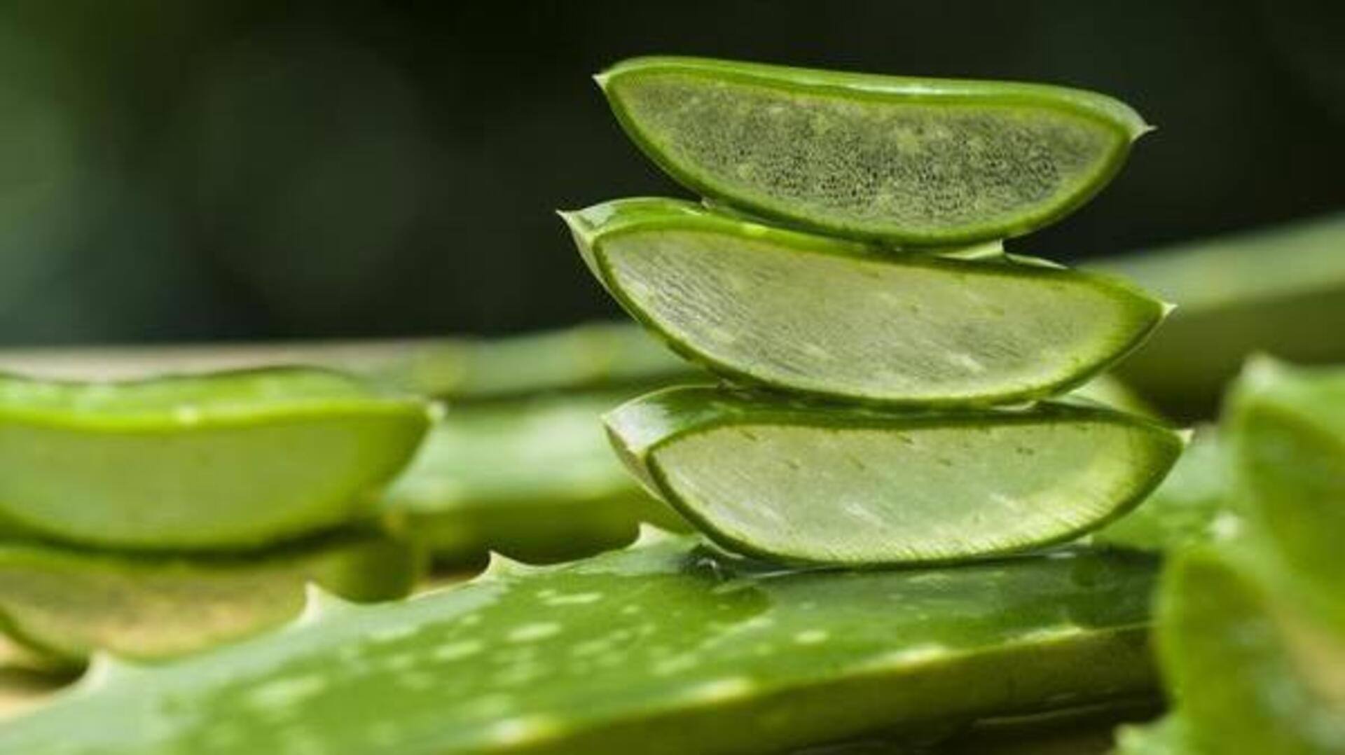 ว่านหางจระเข้: เคล็ดลับเพื่อผิวสวยและอ่อนเยาว์ ว่านหางจระเข้: เคล็ดลับเพื่อผิวสวยและอ่อนเยาว์