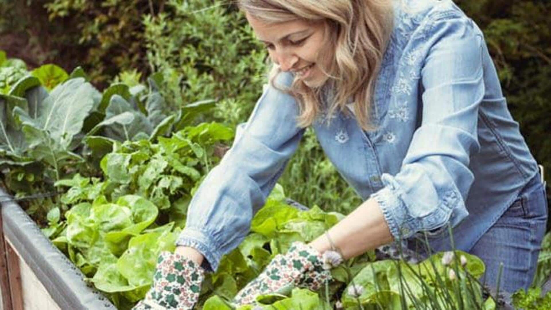 การทำสวนเพื่อสุขภาพจิตที่ดีขึ้น