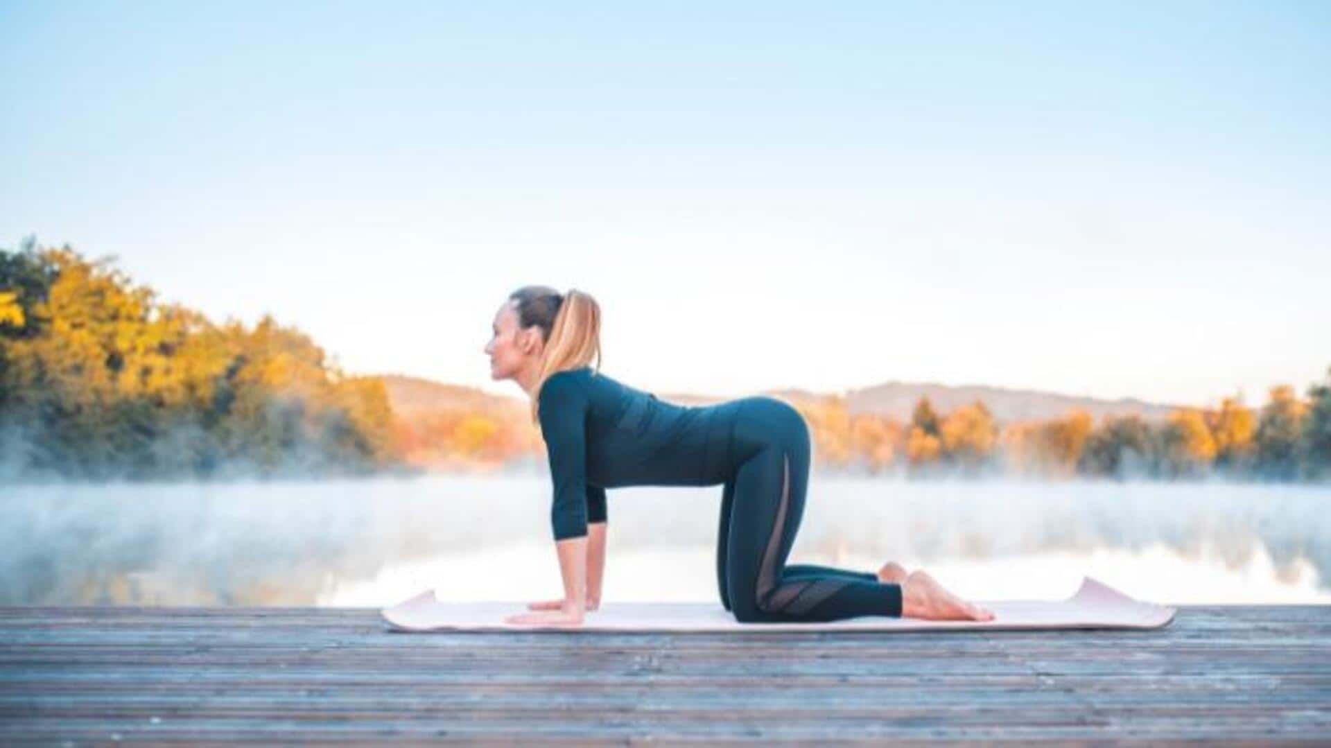 ท่ากายบริหารแมวบนผนังเพื่อความยืดหยุ่น