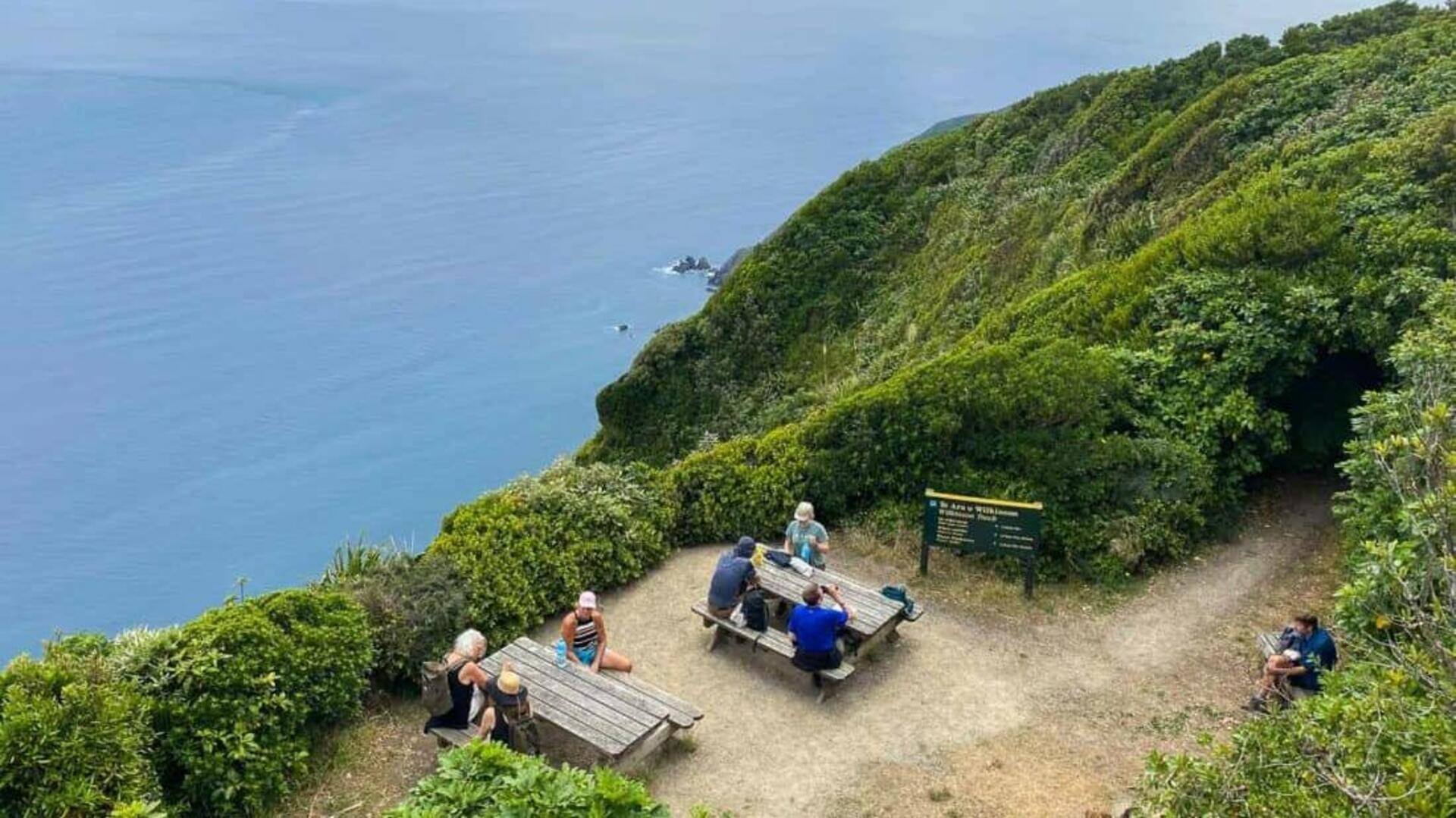 เส้นทางเดินชมวิวที่งดงามในเวลลิงตัน