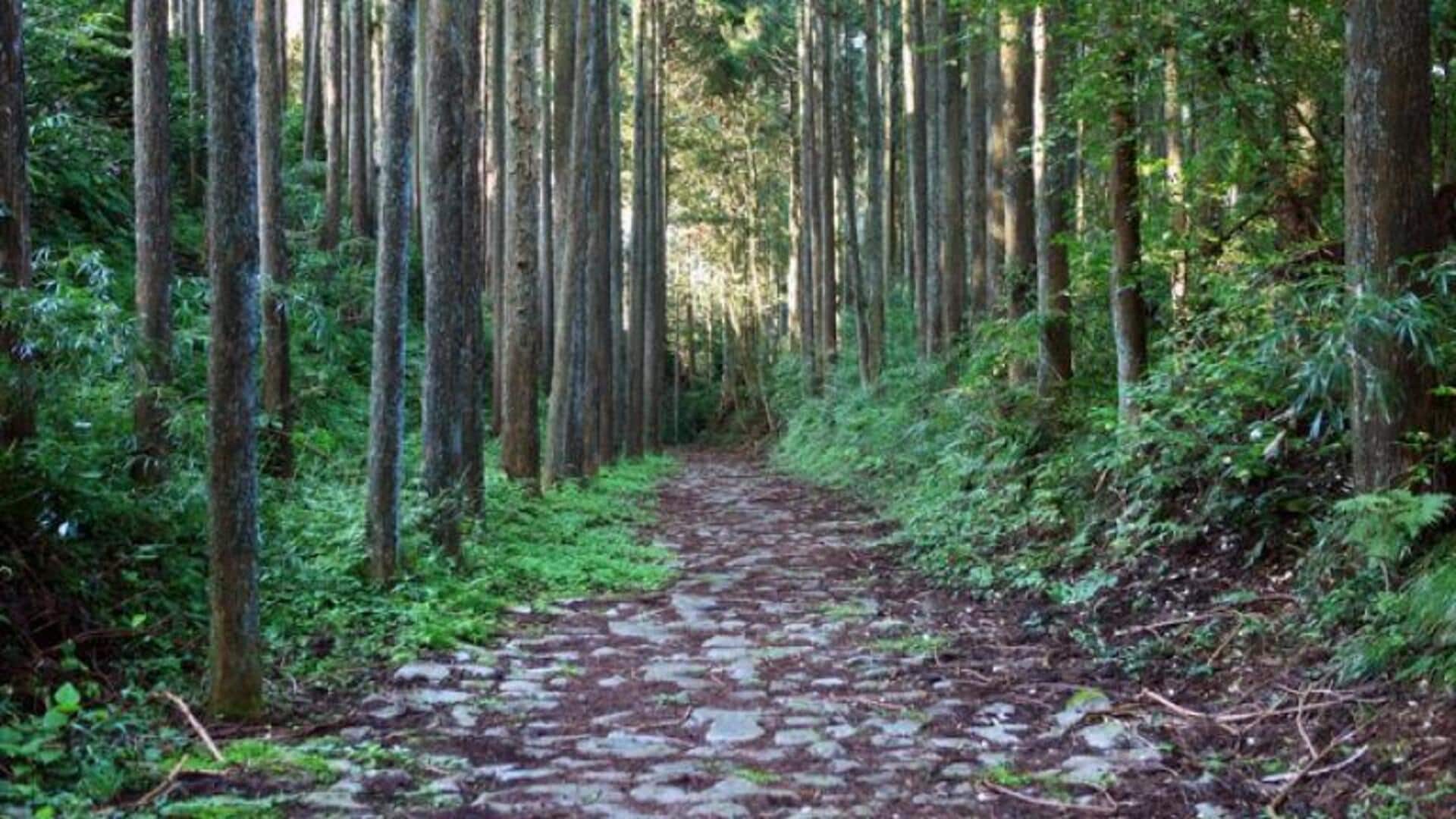 เส้นทางเดินป่าที่สวยที่สุดในชนบทญี่ปุ่น